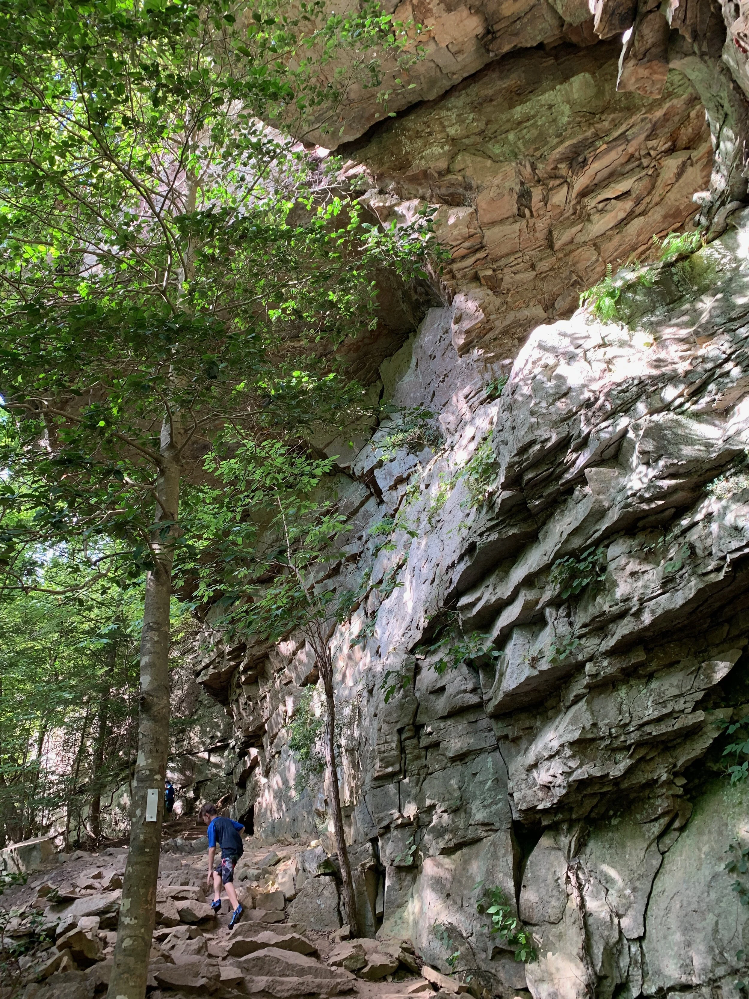 2020 TN Trip - 47 of 94.jpeg