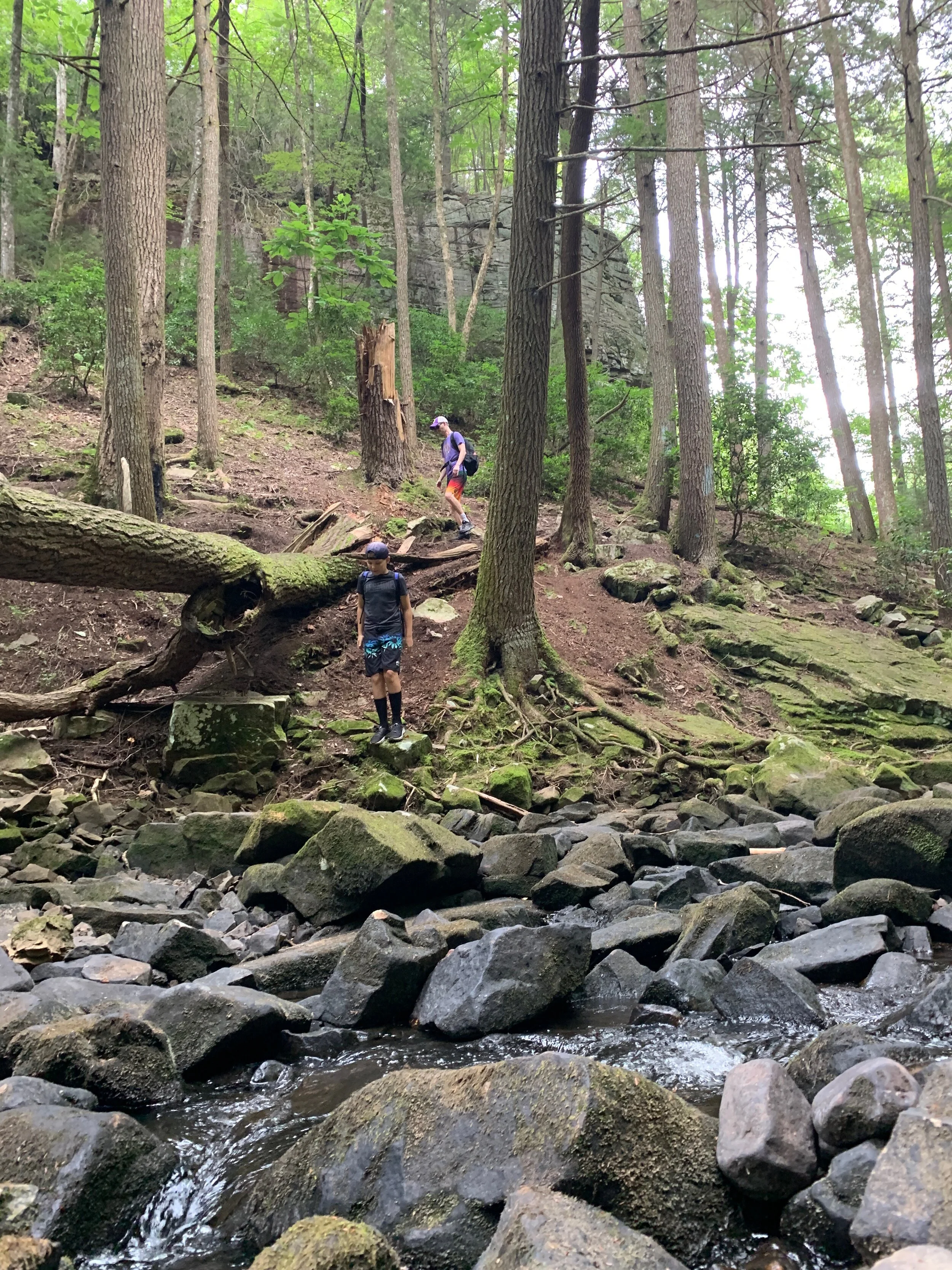 2020 TN Trip - 61 of 94.jpeg