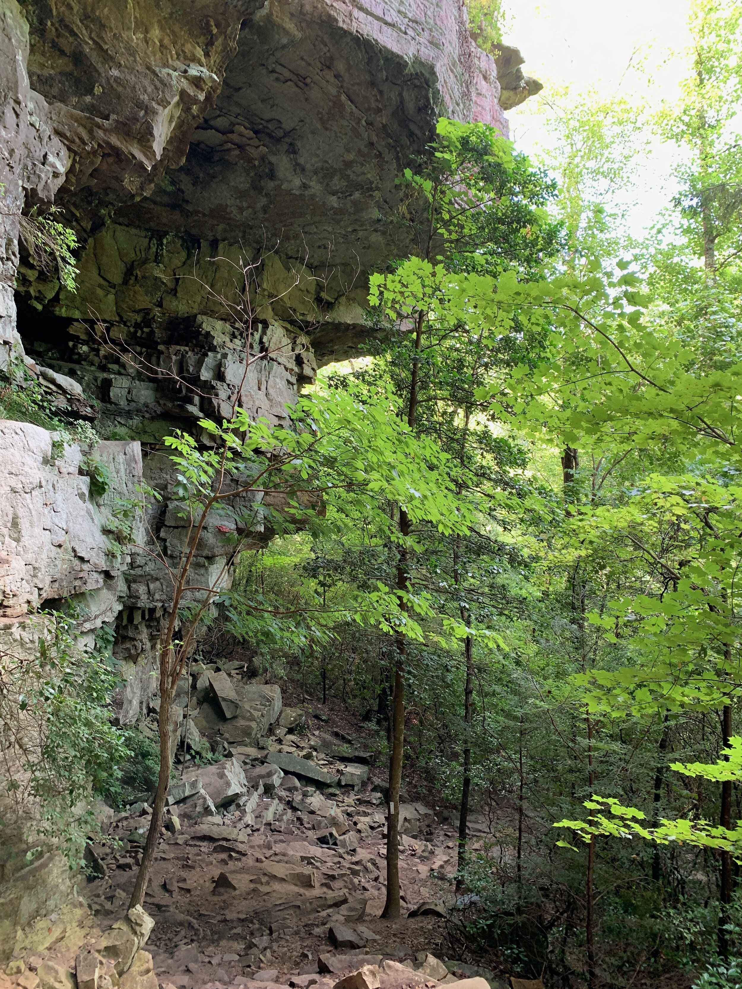 2020 TN Trip - 68 of 94.jpeg