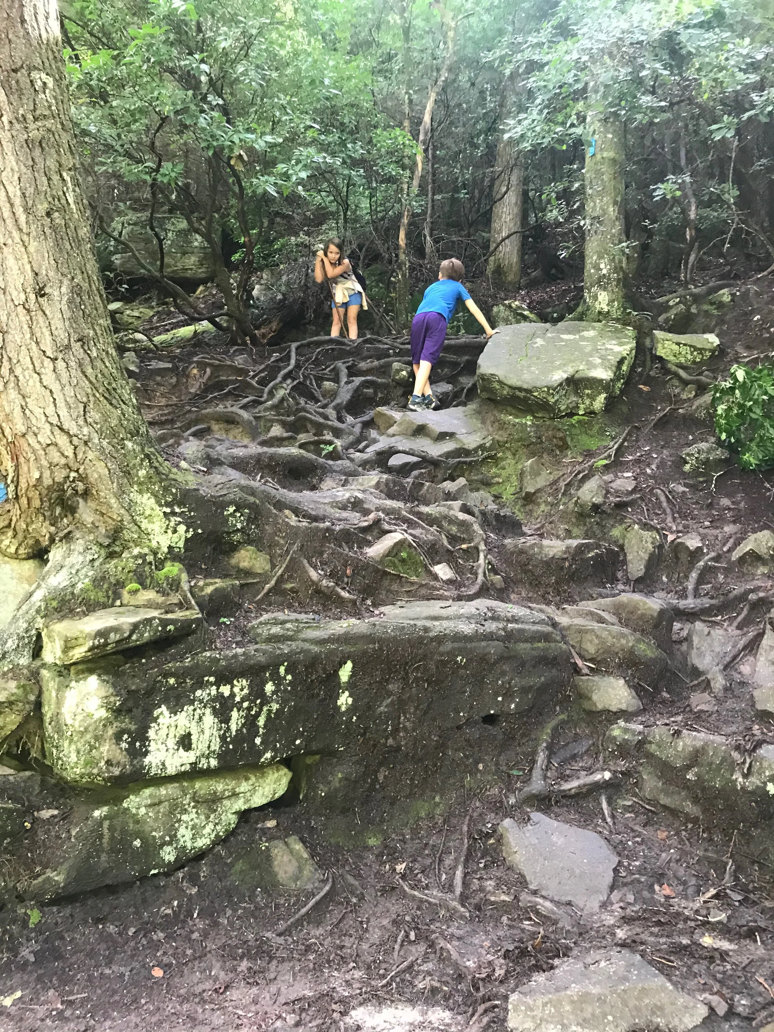 2020 TN Trip - 73 of 94.jpeg