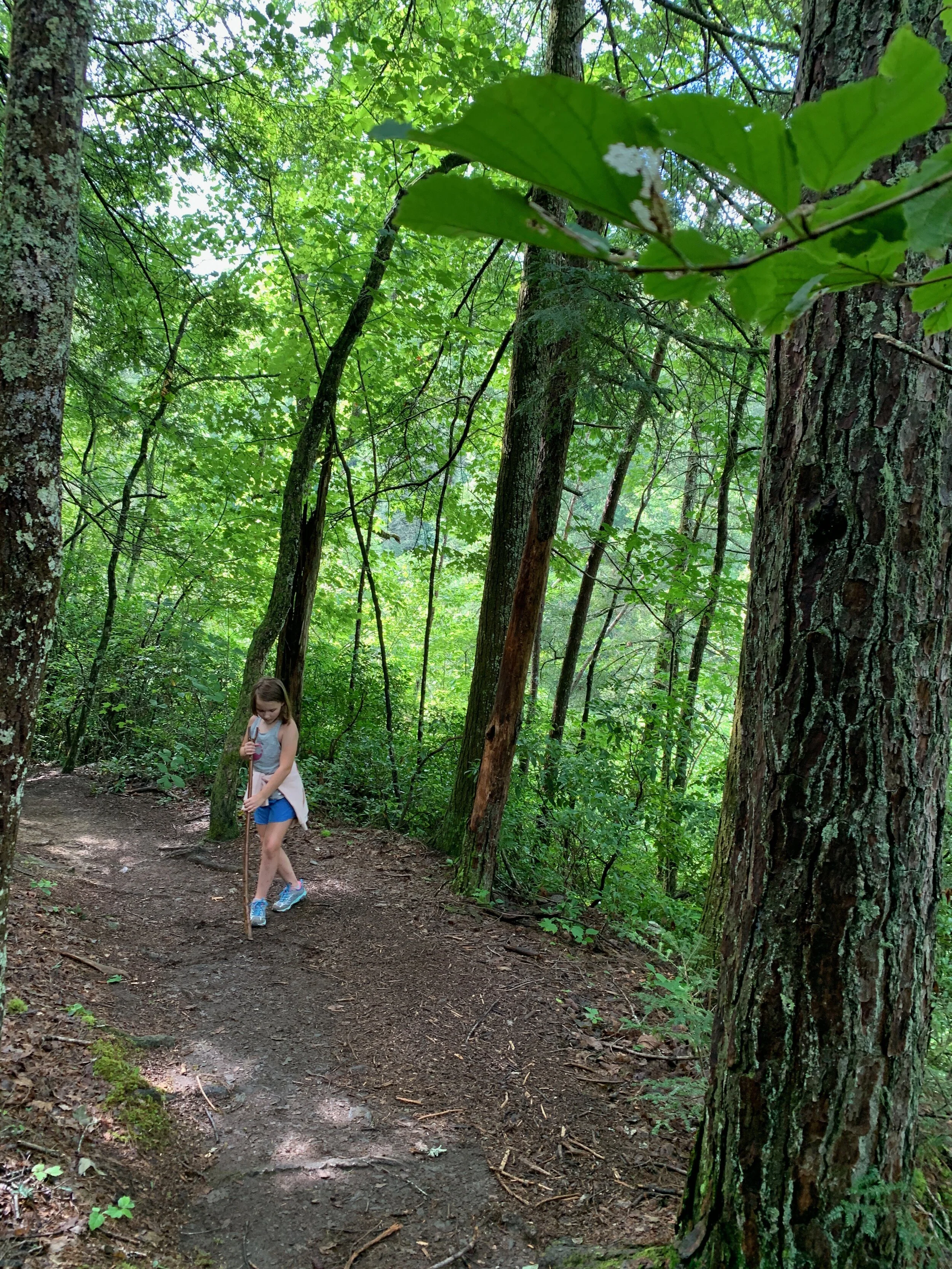 2020 TN Trip - 75 of 94.jpeg