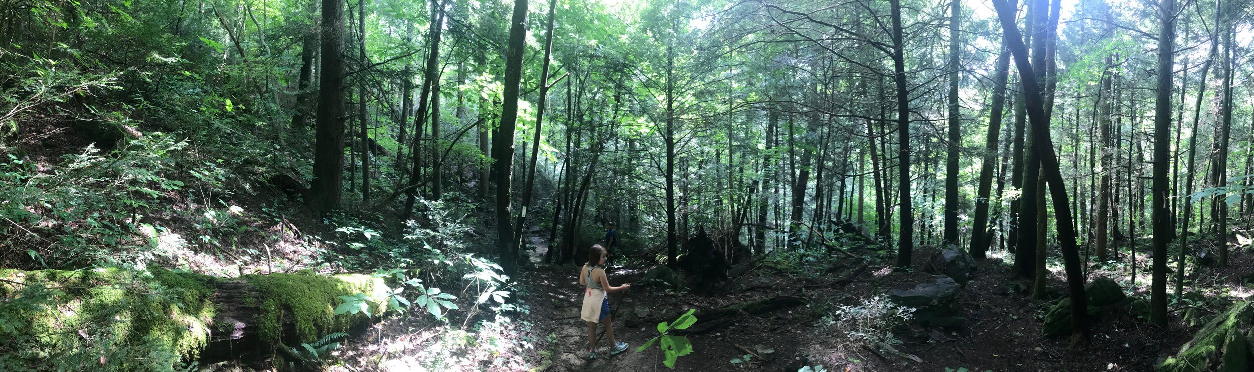 2020 TN Trip - 76 of 94.jpeg