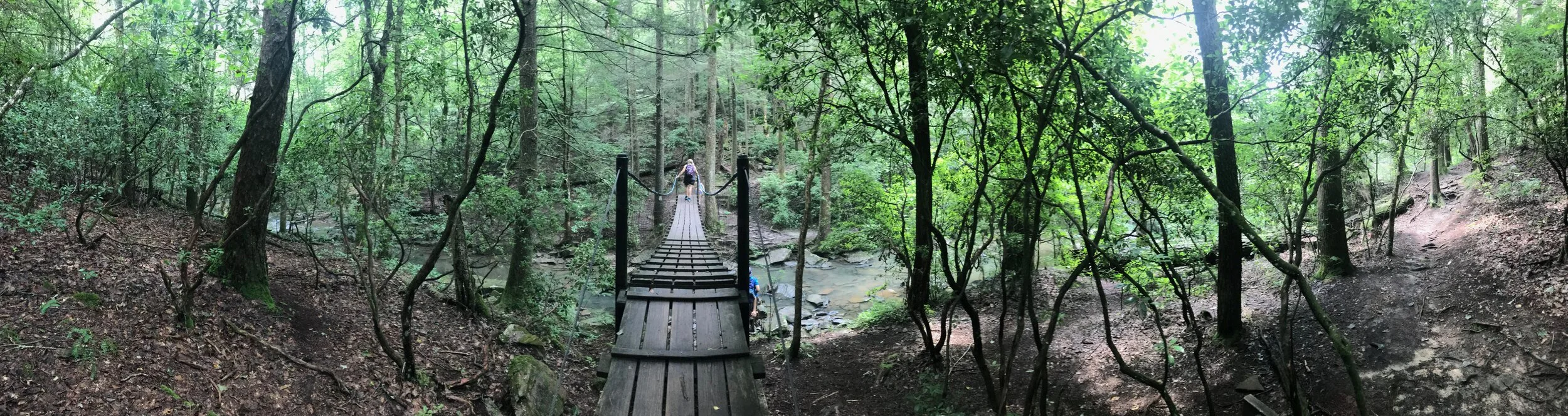 2020 TN Trip - 81 of 94.jpeg