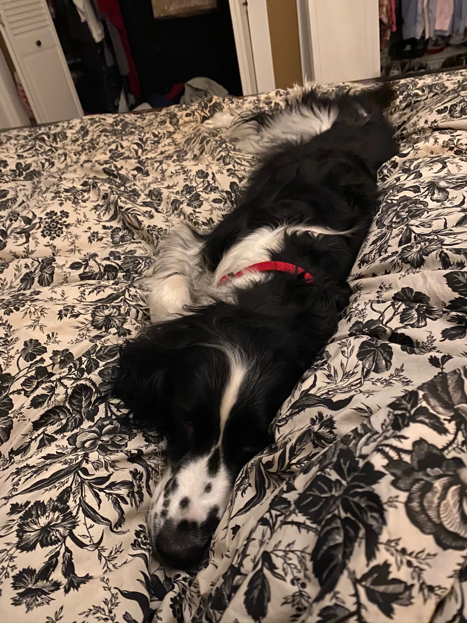 2020 XMAS Draft - 26 of 221.jpeg