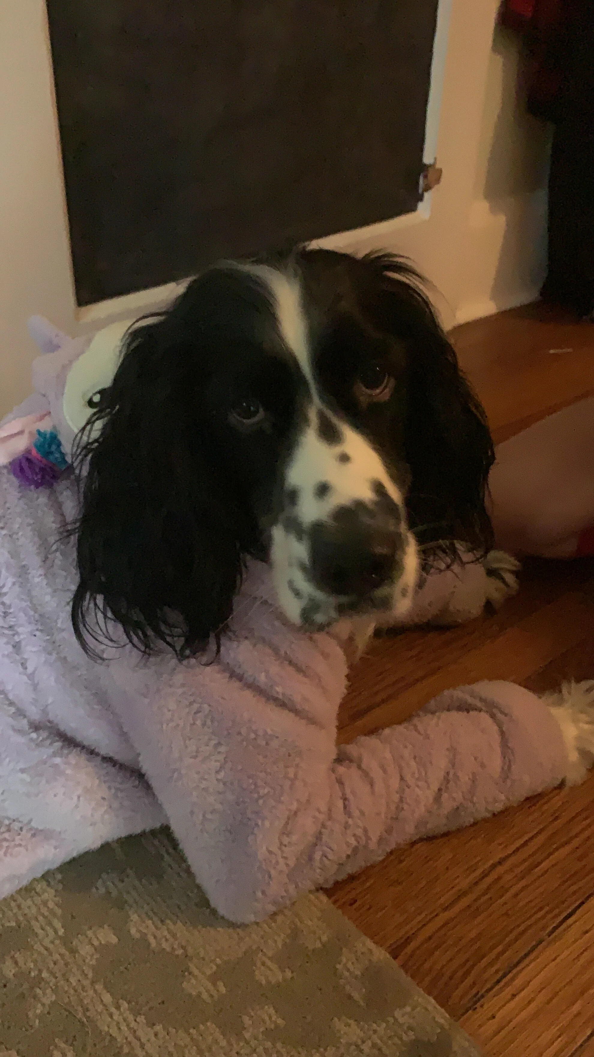 2020 XMAS Draft - 30 of 221.jpeg