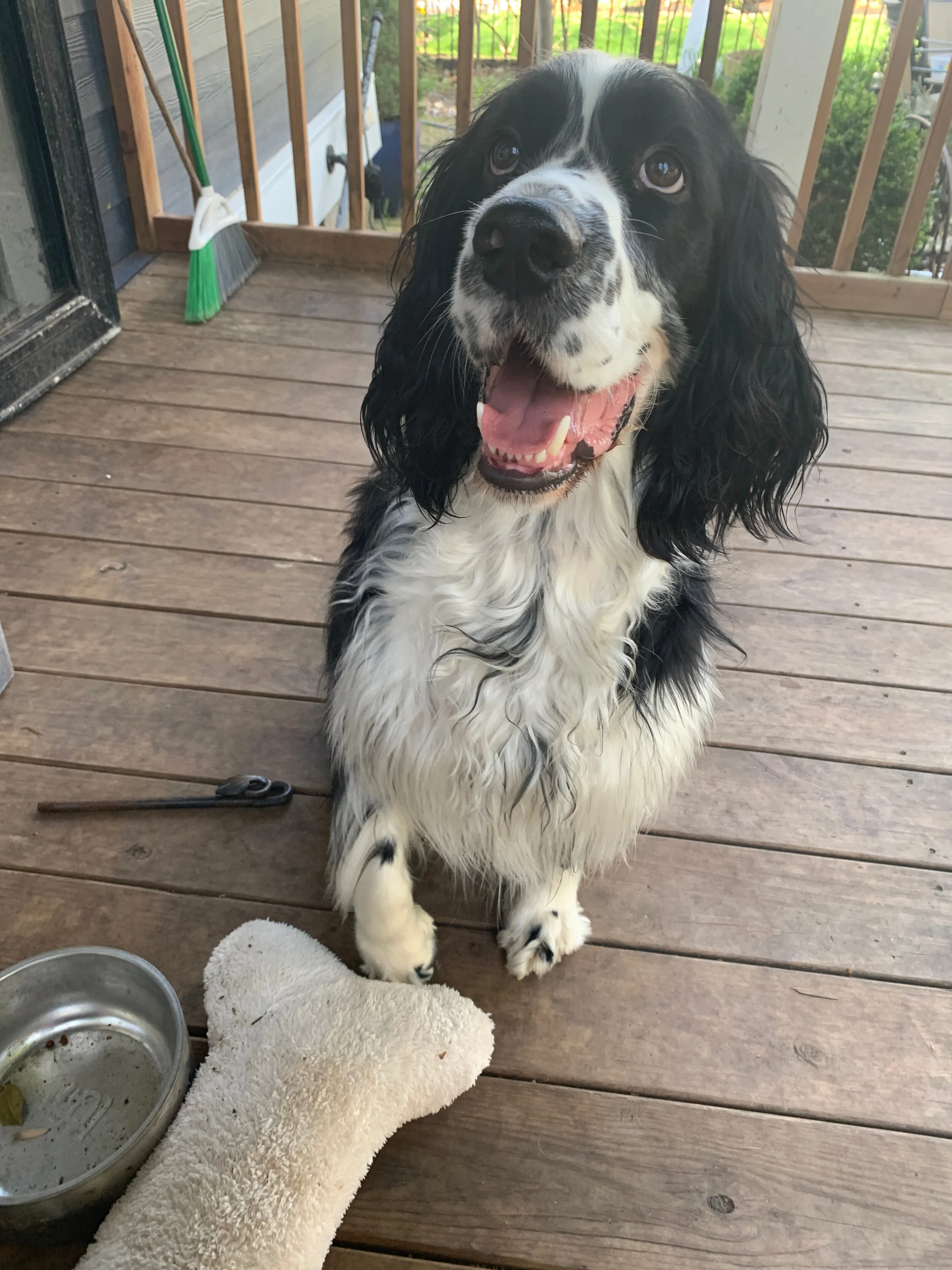 2020 XMAS Draft - 54 of 221.jpeg