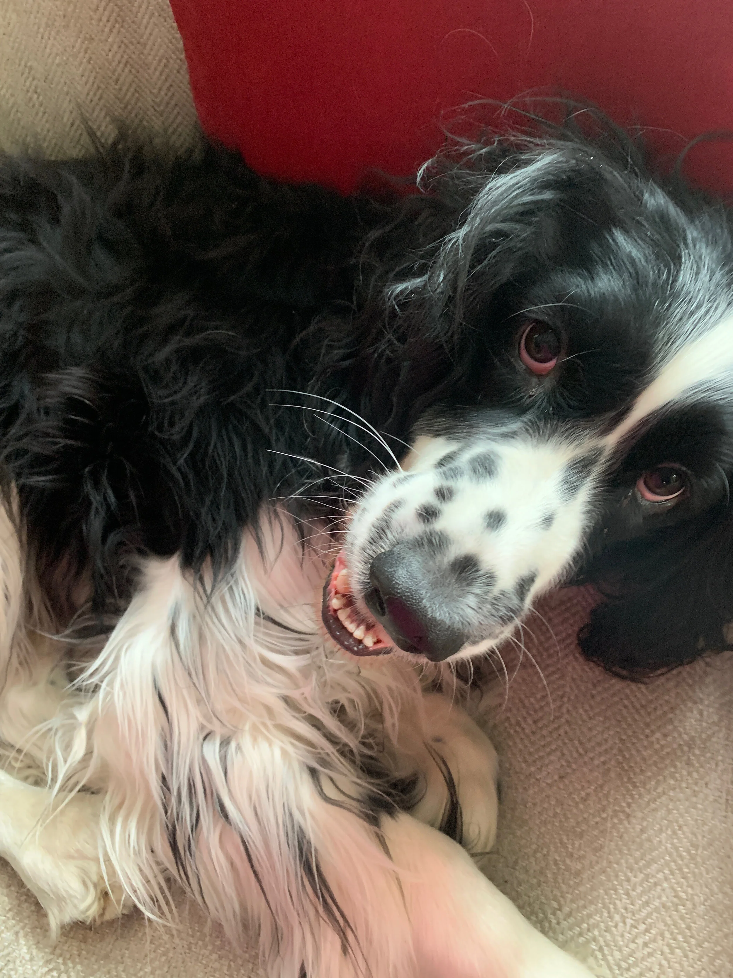 2020 XMAS Draft - 55 of 221.jpeg