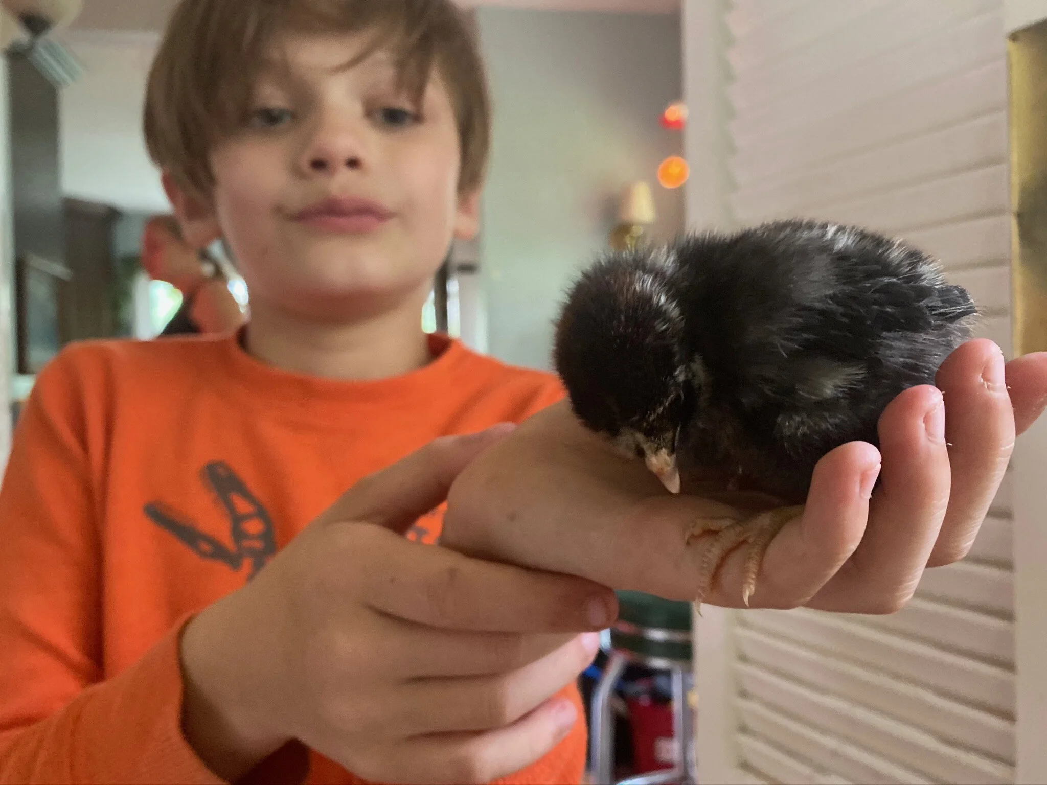 2020 XMAS Draft - 67 of 221.jpeg