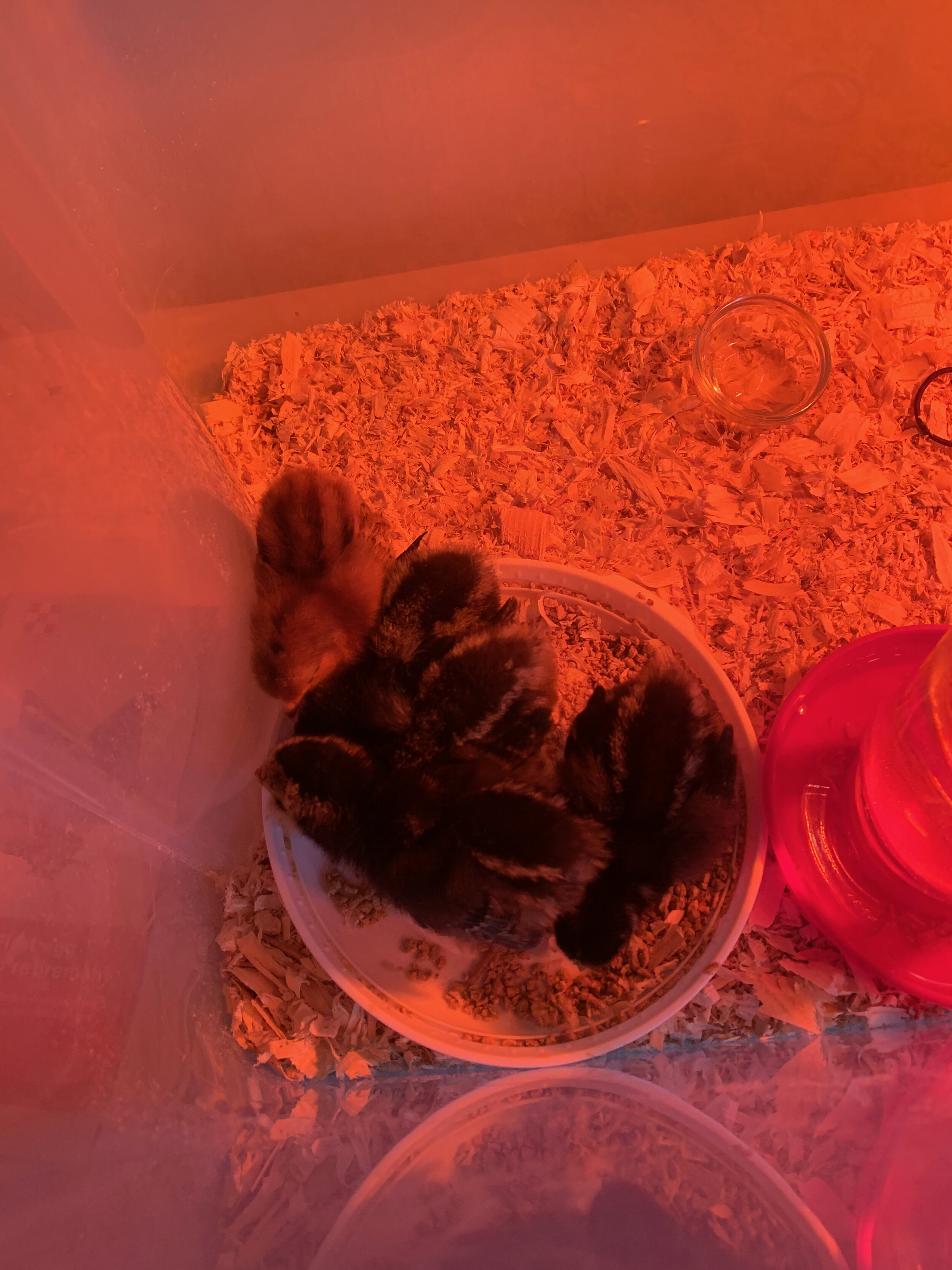 2020 XMAS Draft - 66 of 221.jpeg