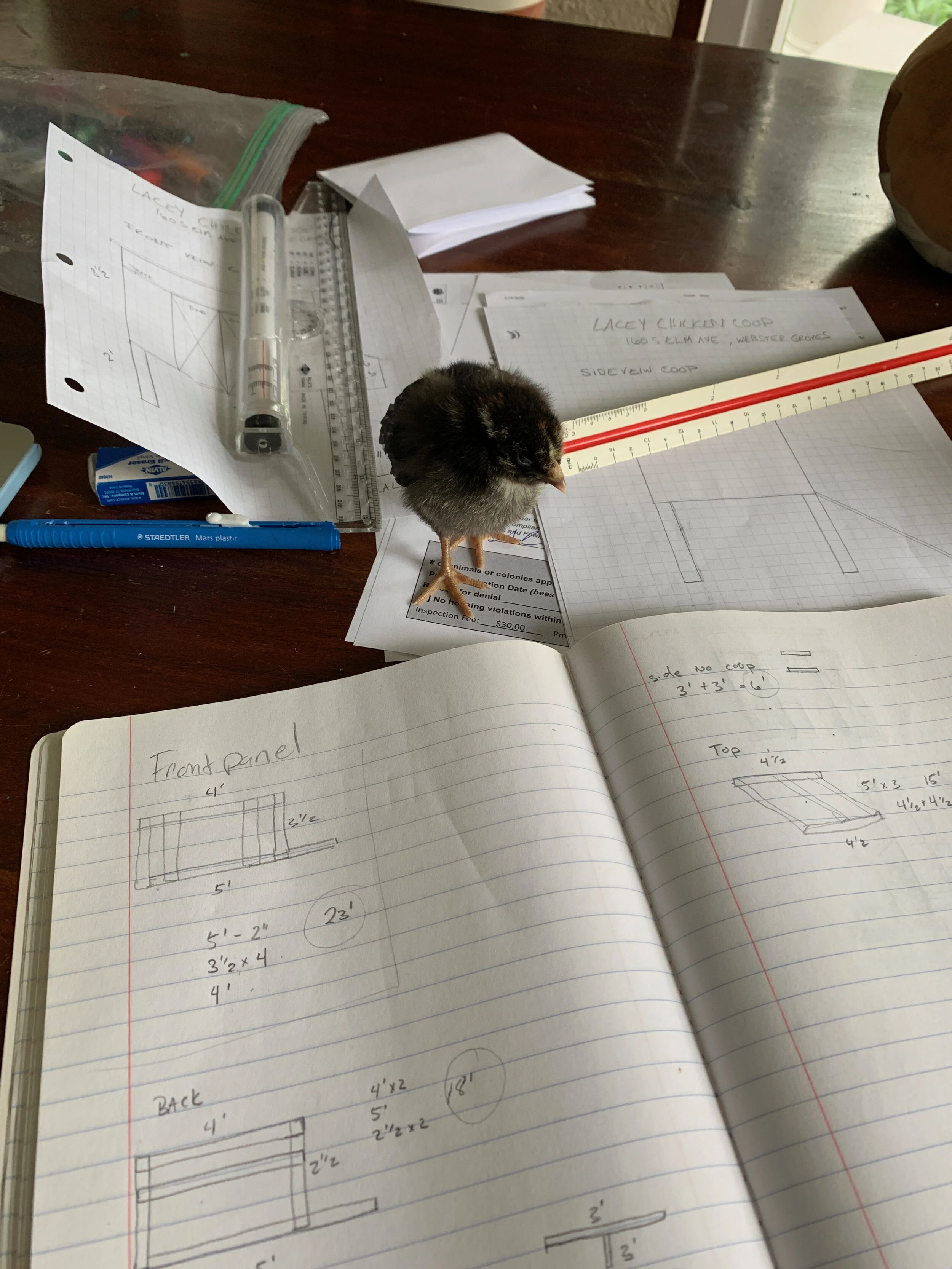 2020 XMAS Draft - 72 of 221.jpeg