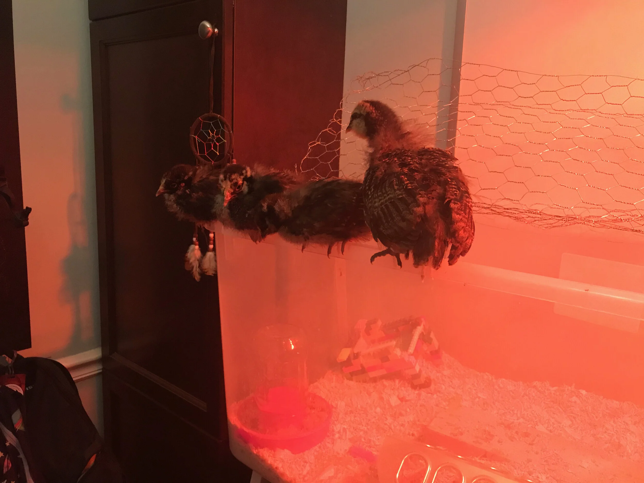 2020 XMAS Draft - 91 of 221.jpeg