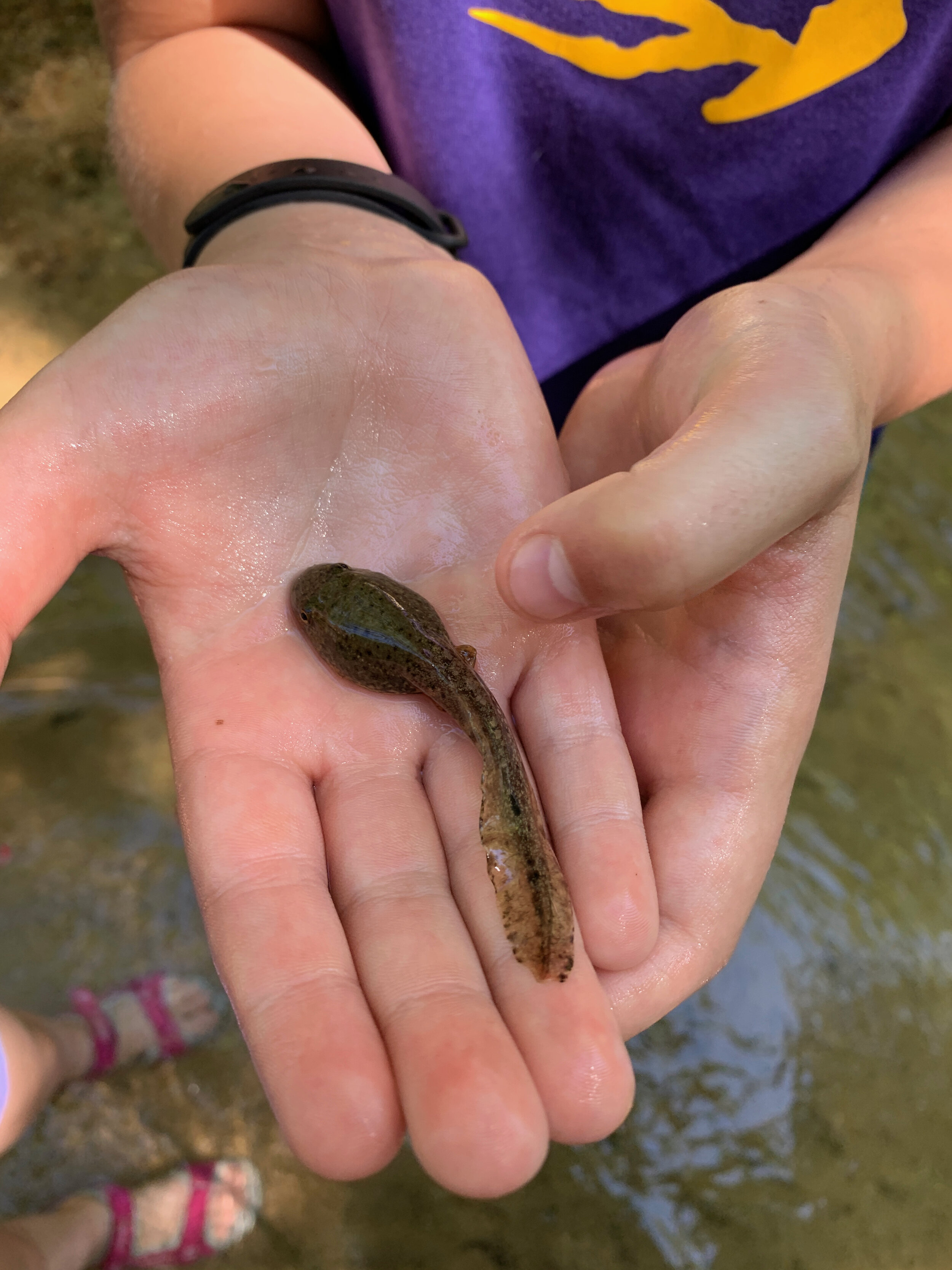 2020 XMAS Draft - 94 of 221.jpeg