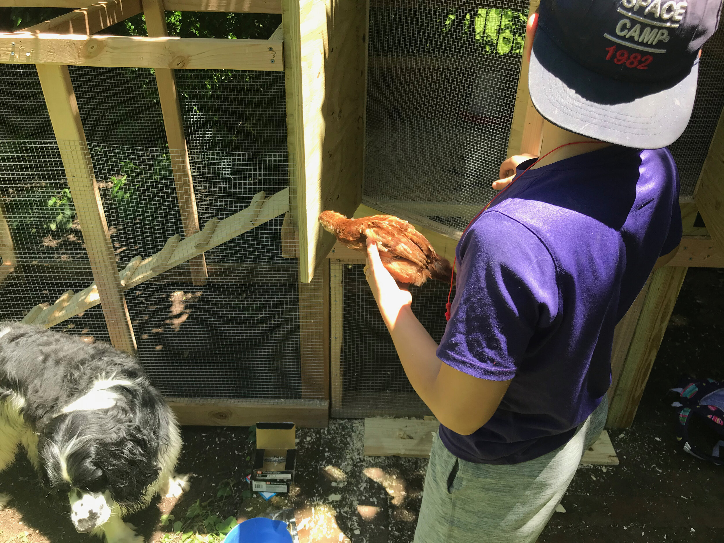 2020 XMAS Draft - 102 of 221.jpeg