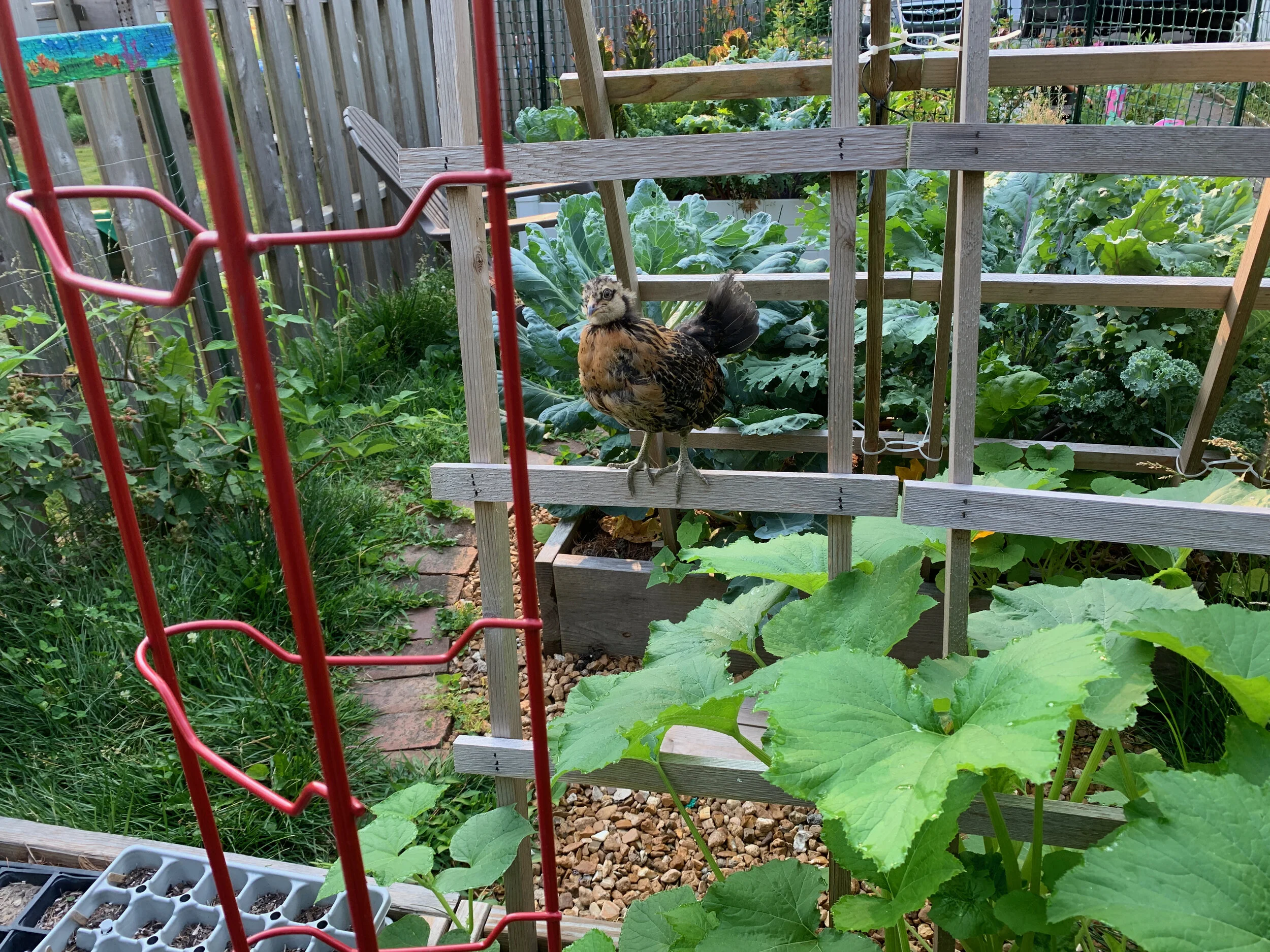 2020 XMAS Draft - 111 of 221.jpeg