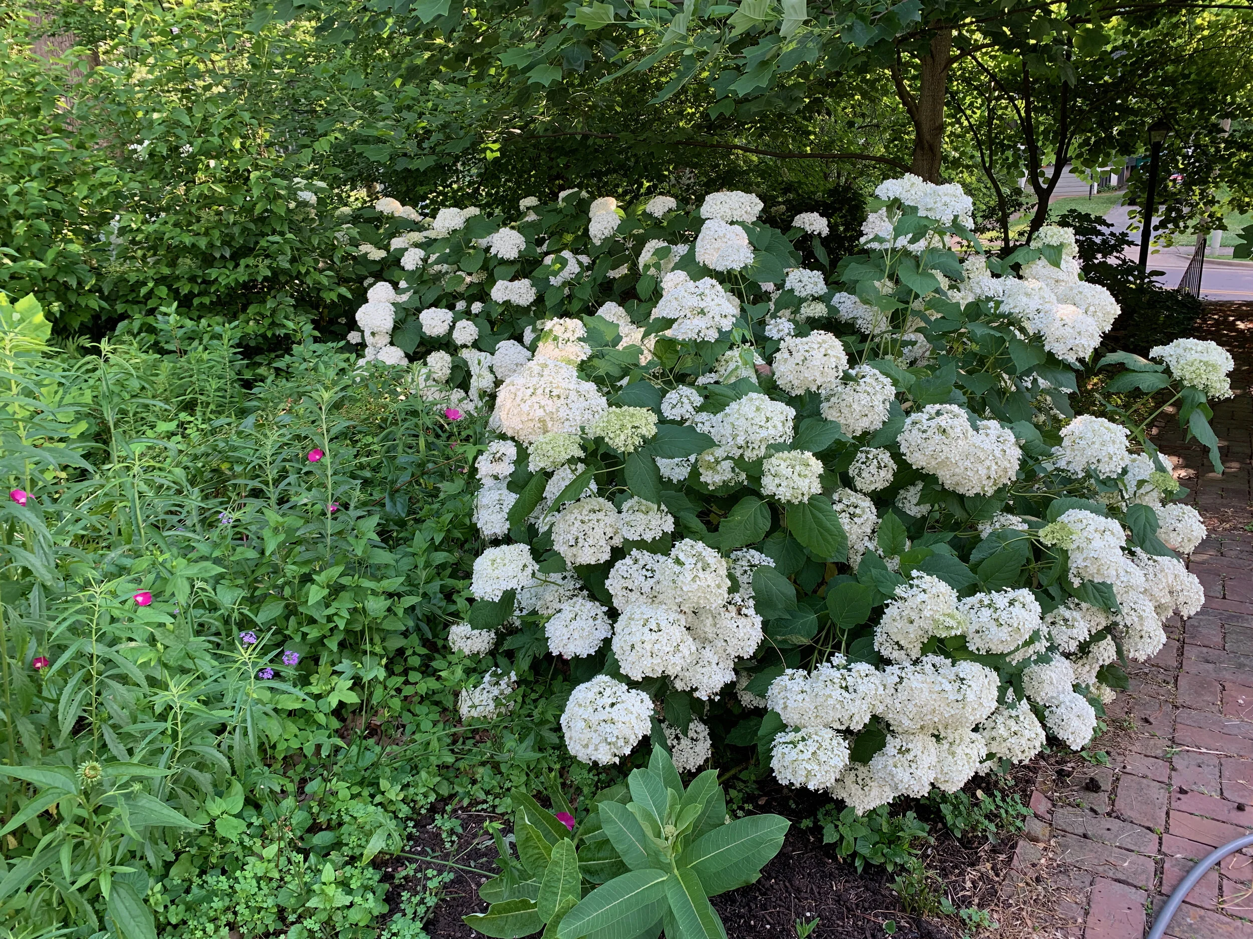 2020 XMAS Draft - 114 of 221.jpeg