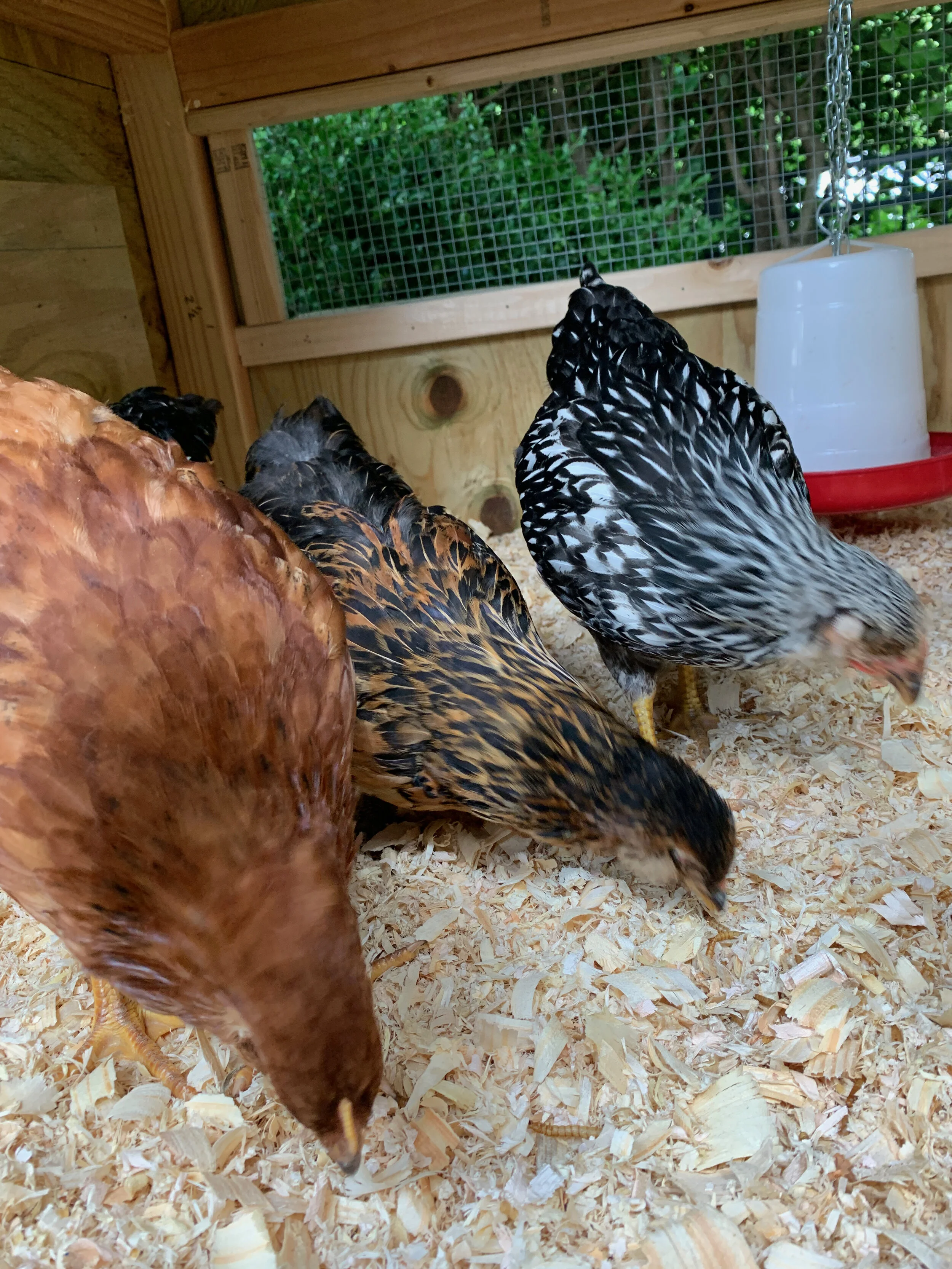 2020 XMAS Draft - 139 of 221.jpeg