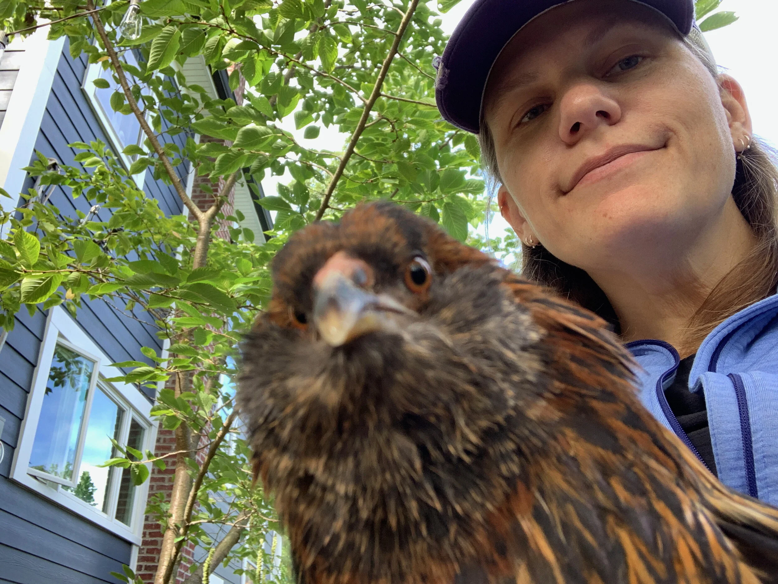 2020 XMAS Draft - 158 of 221.jpeg