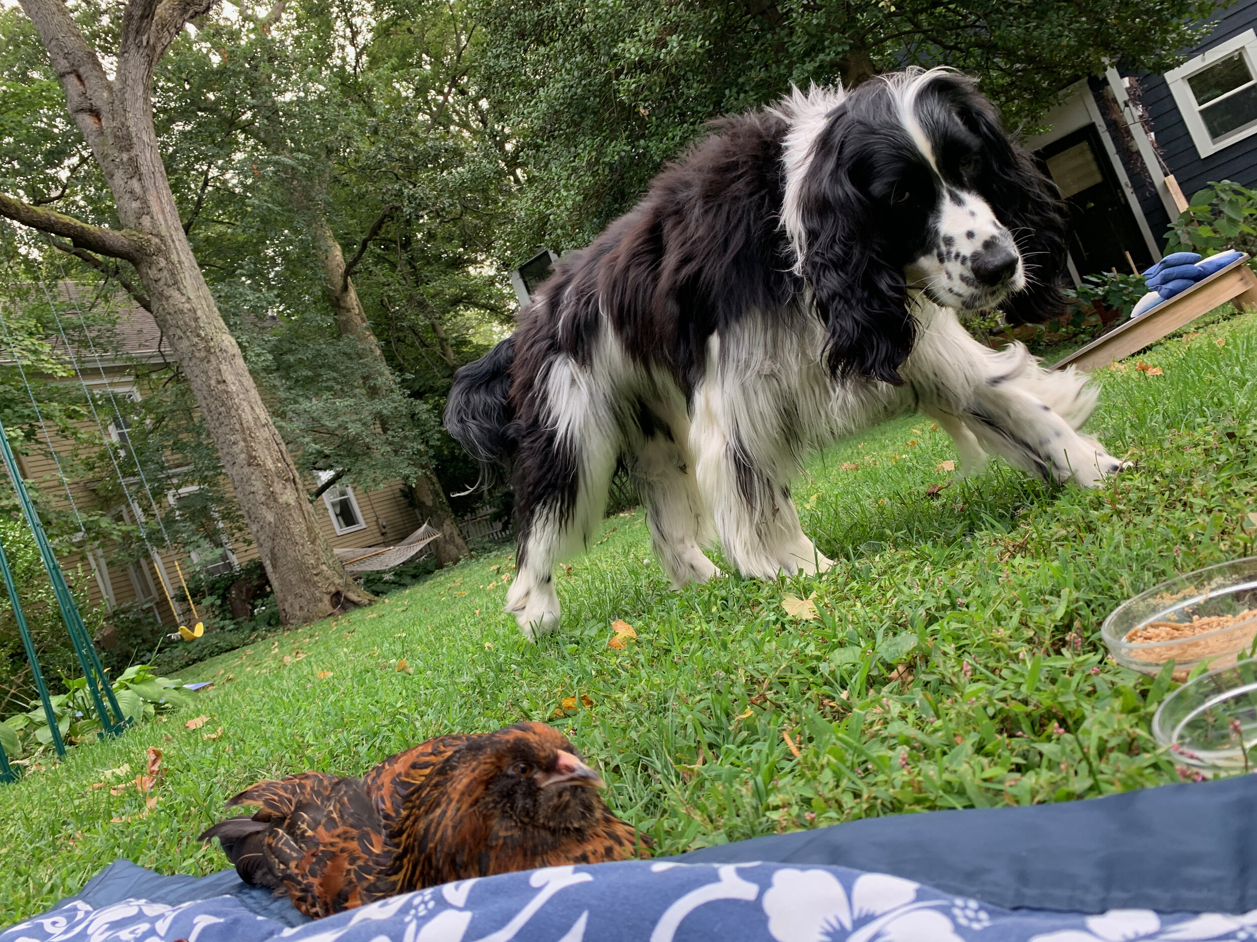 2020 XMAS Draft - 161 of 221.jpeg