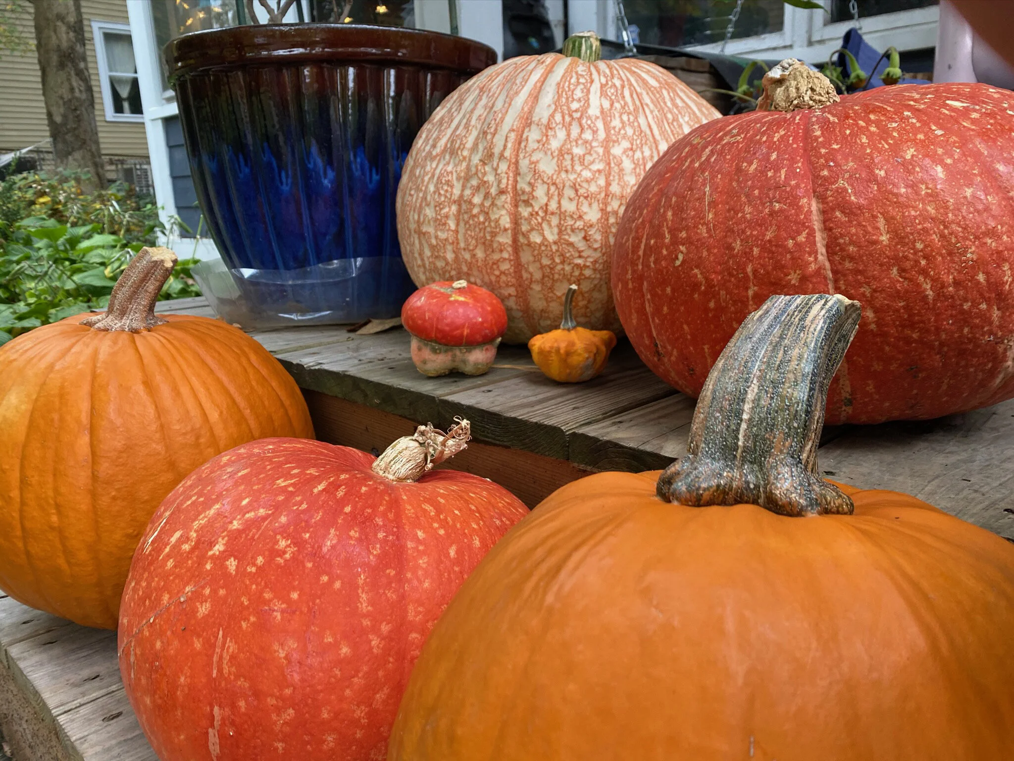 2020 XMAS Draft - 182 of 221.jpeg