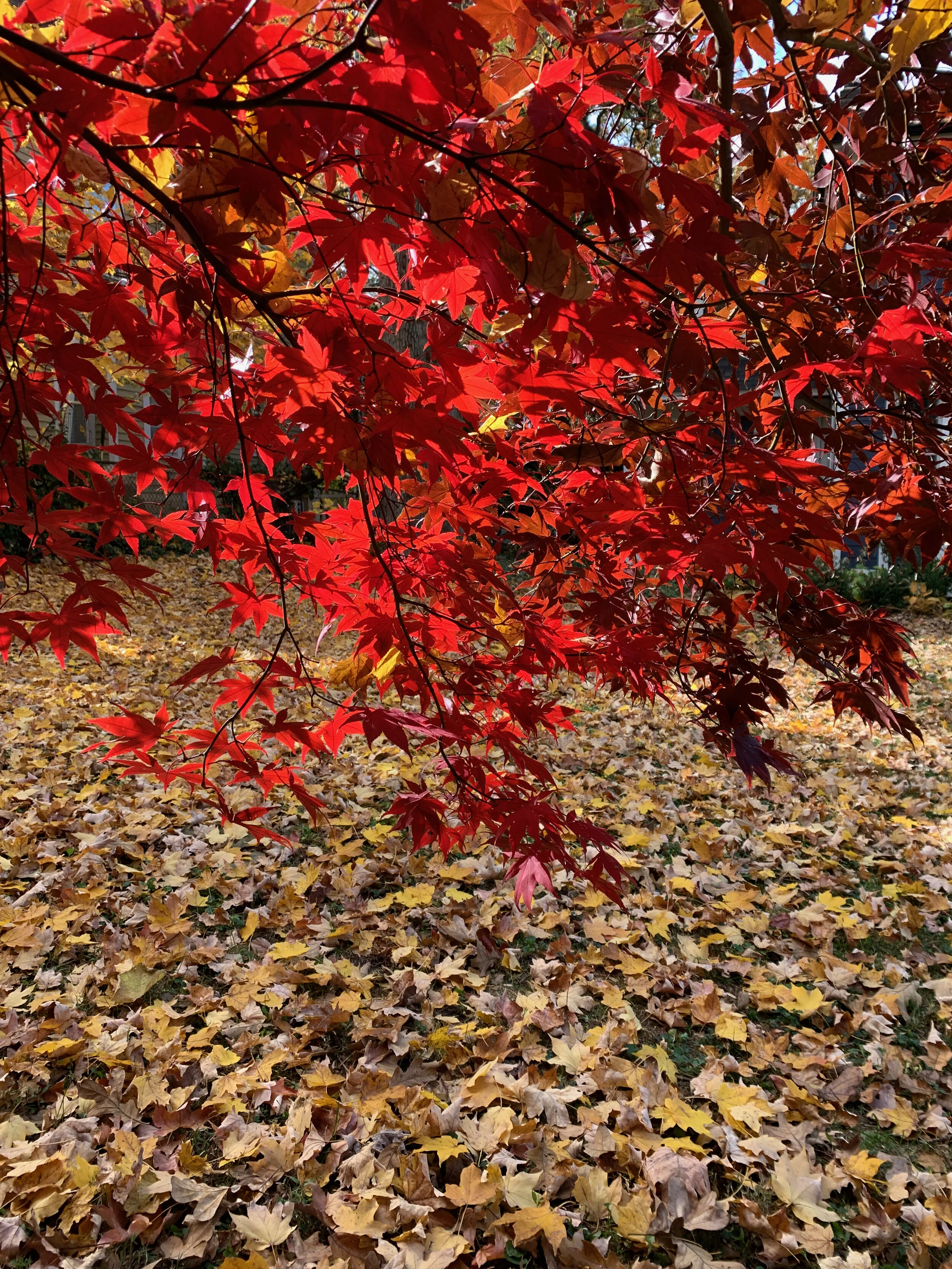 2020 XMAS Draft - 194 of 221.jpeg