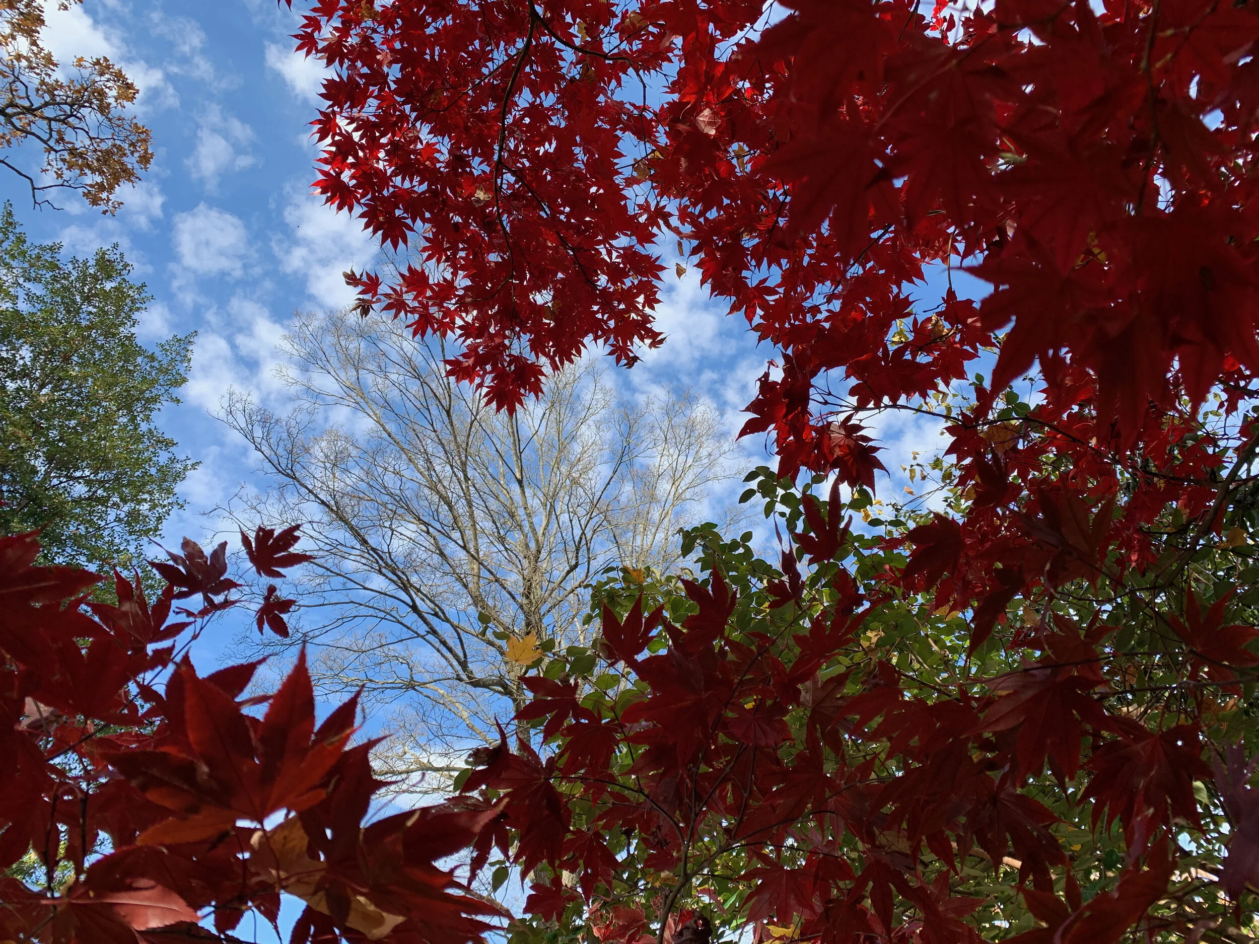 2020 XMAS Draft - 195 of 221.jpeg