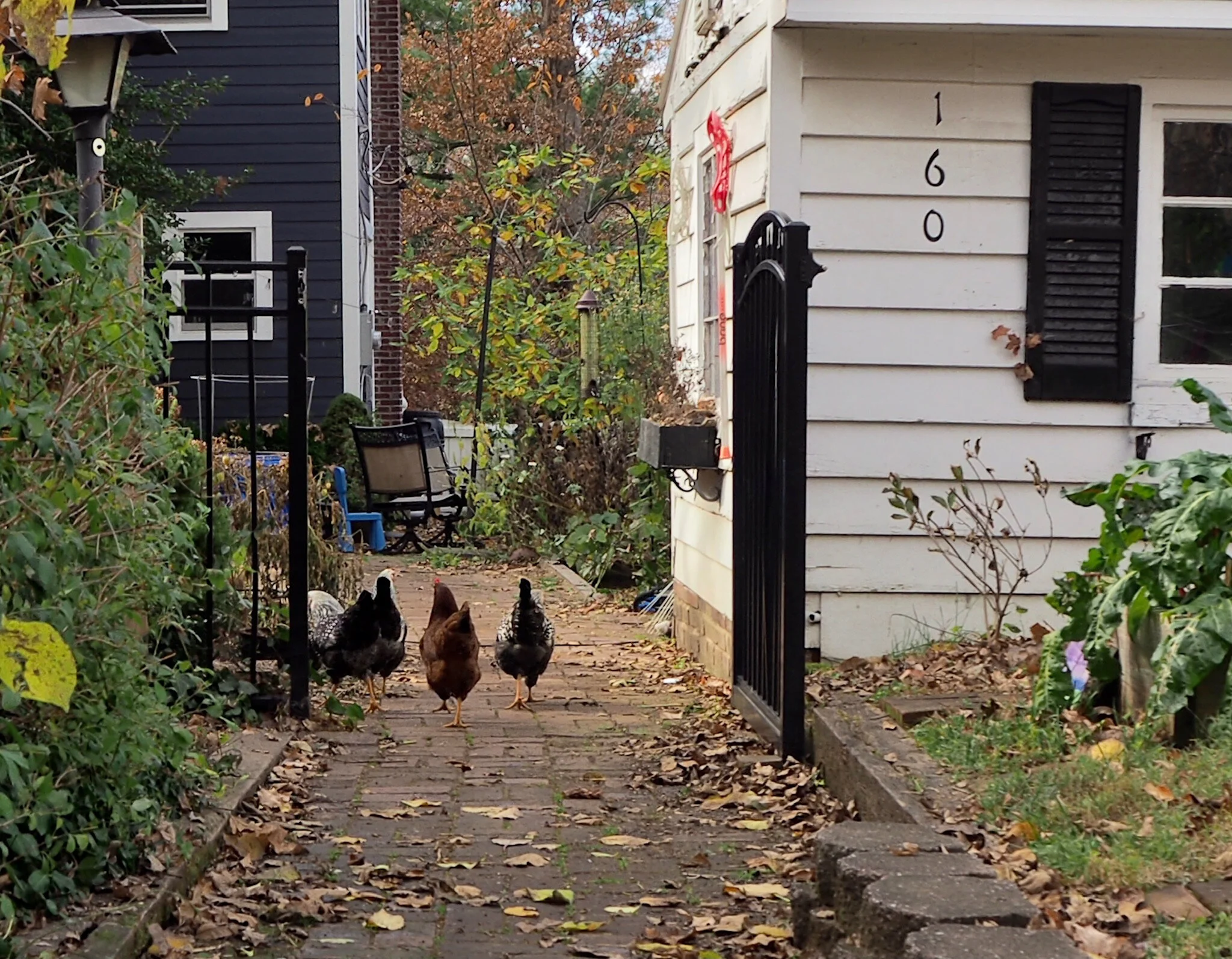 2020 XMAS Draft - 197 of 221.jpeg