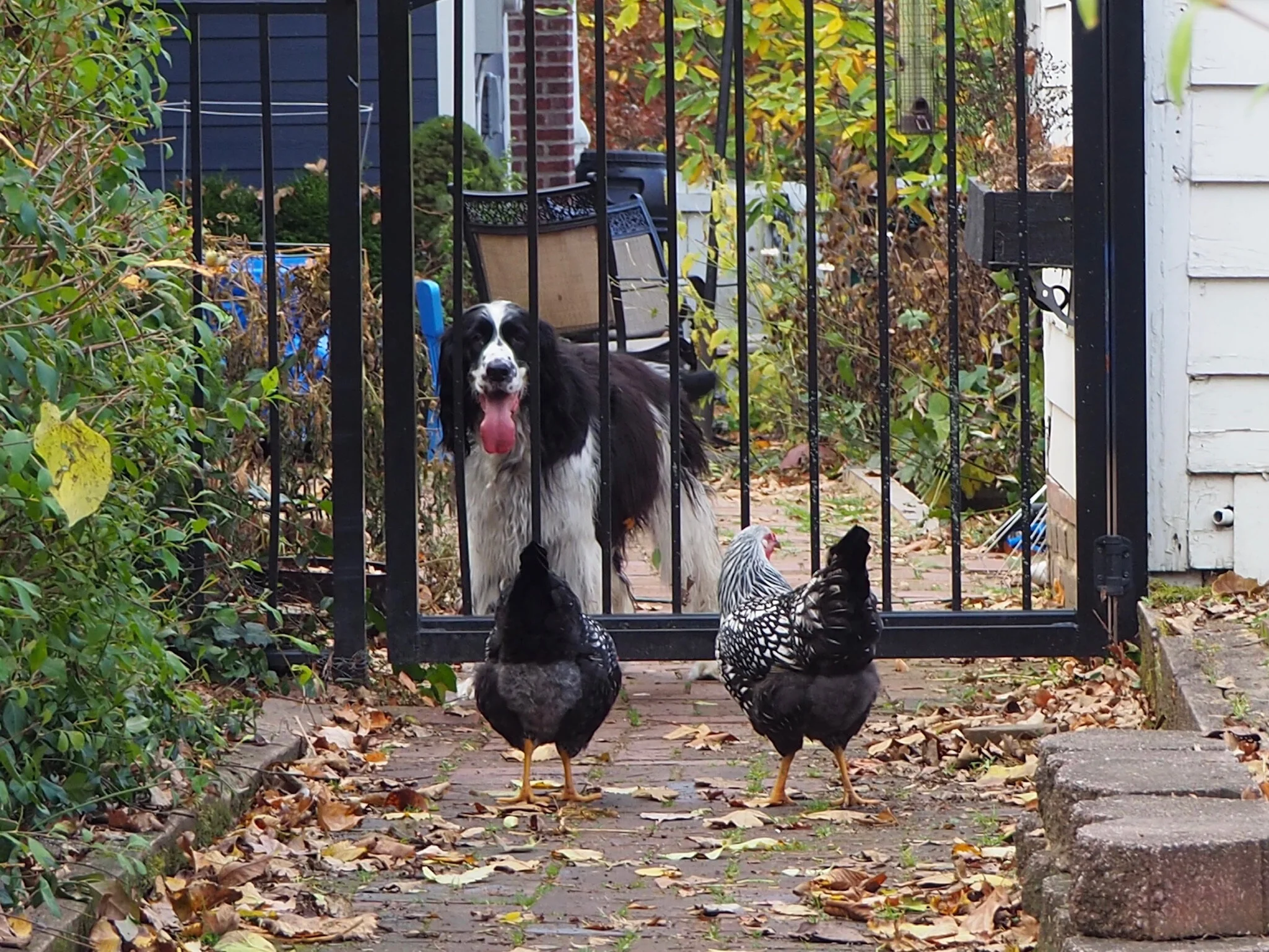 2020 XMAS Draft - 198 of 221.jpeg