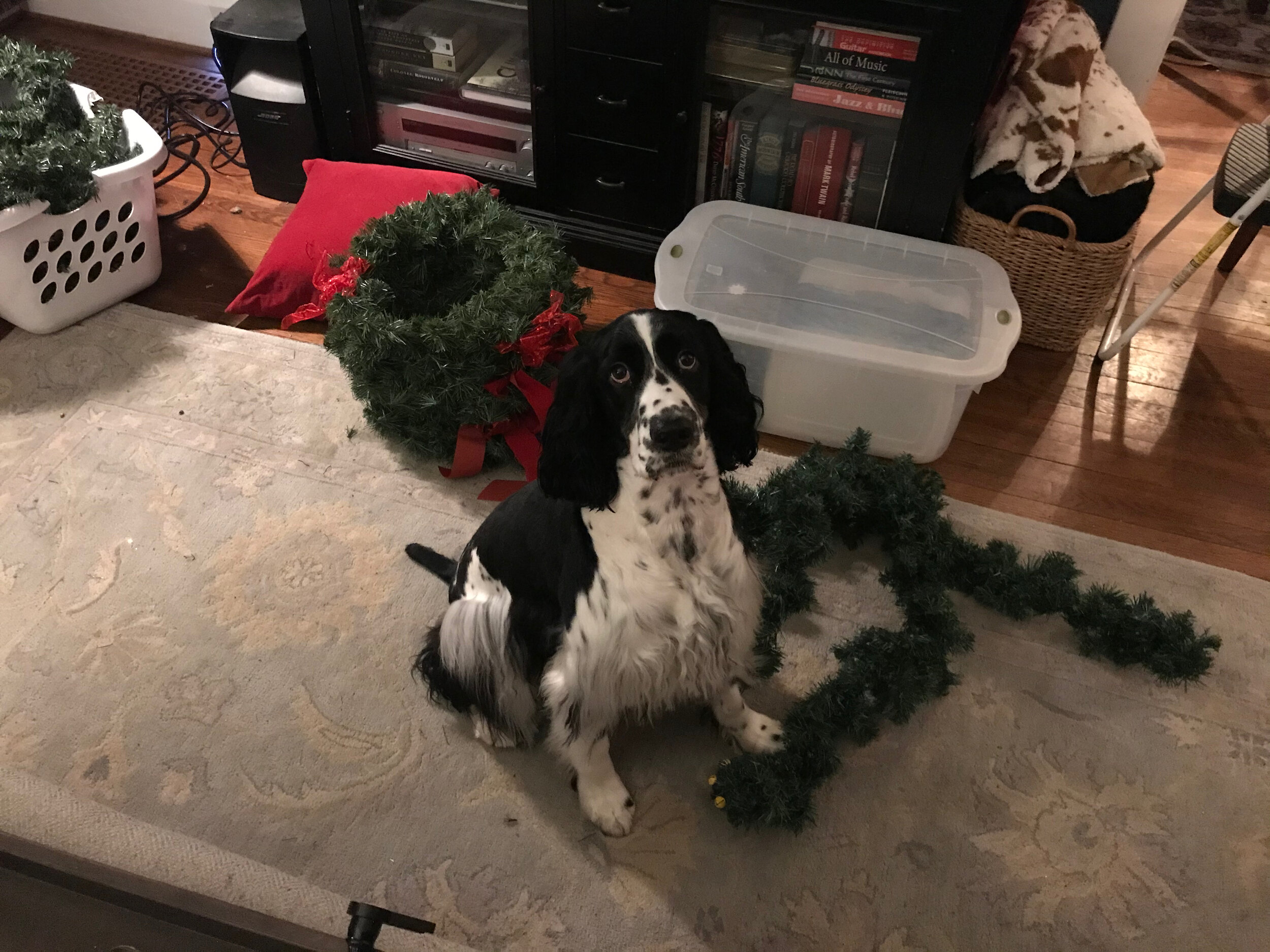 2020 XMAS Draft - 206 of 221.jpeg