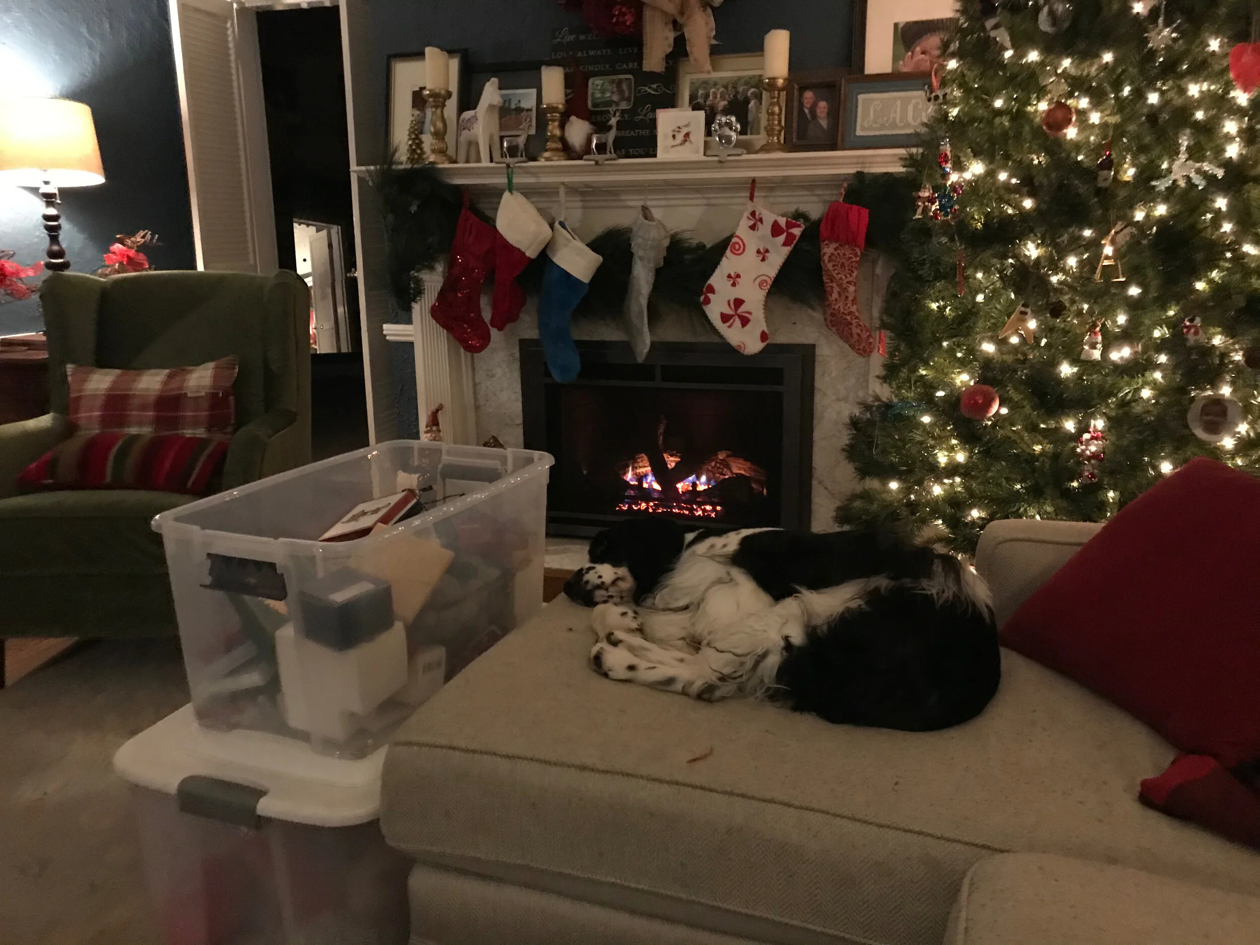 2020 XMAS Draft - 207 of 221.jpeg