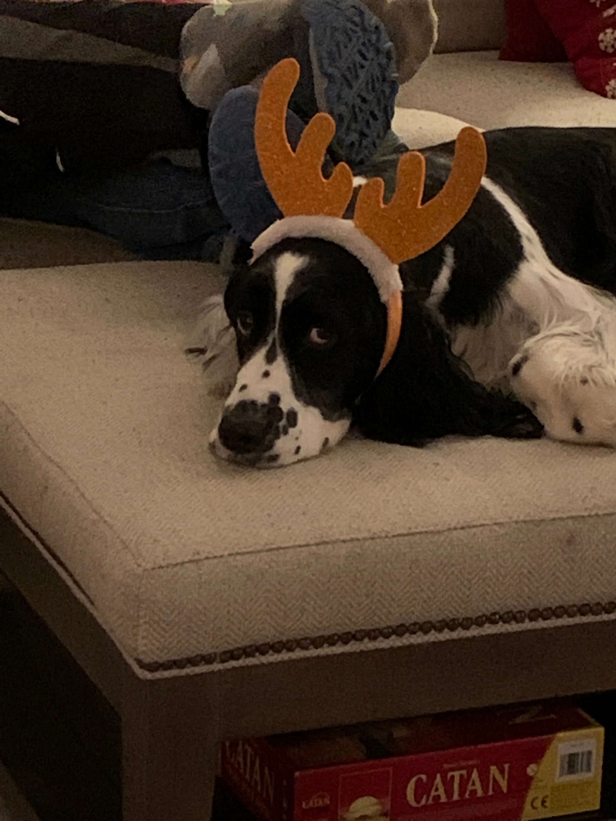 2020 XMAS Draft - 211 of 221.jpeg