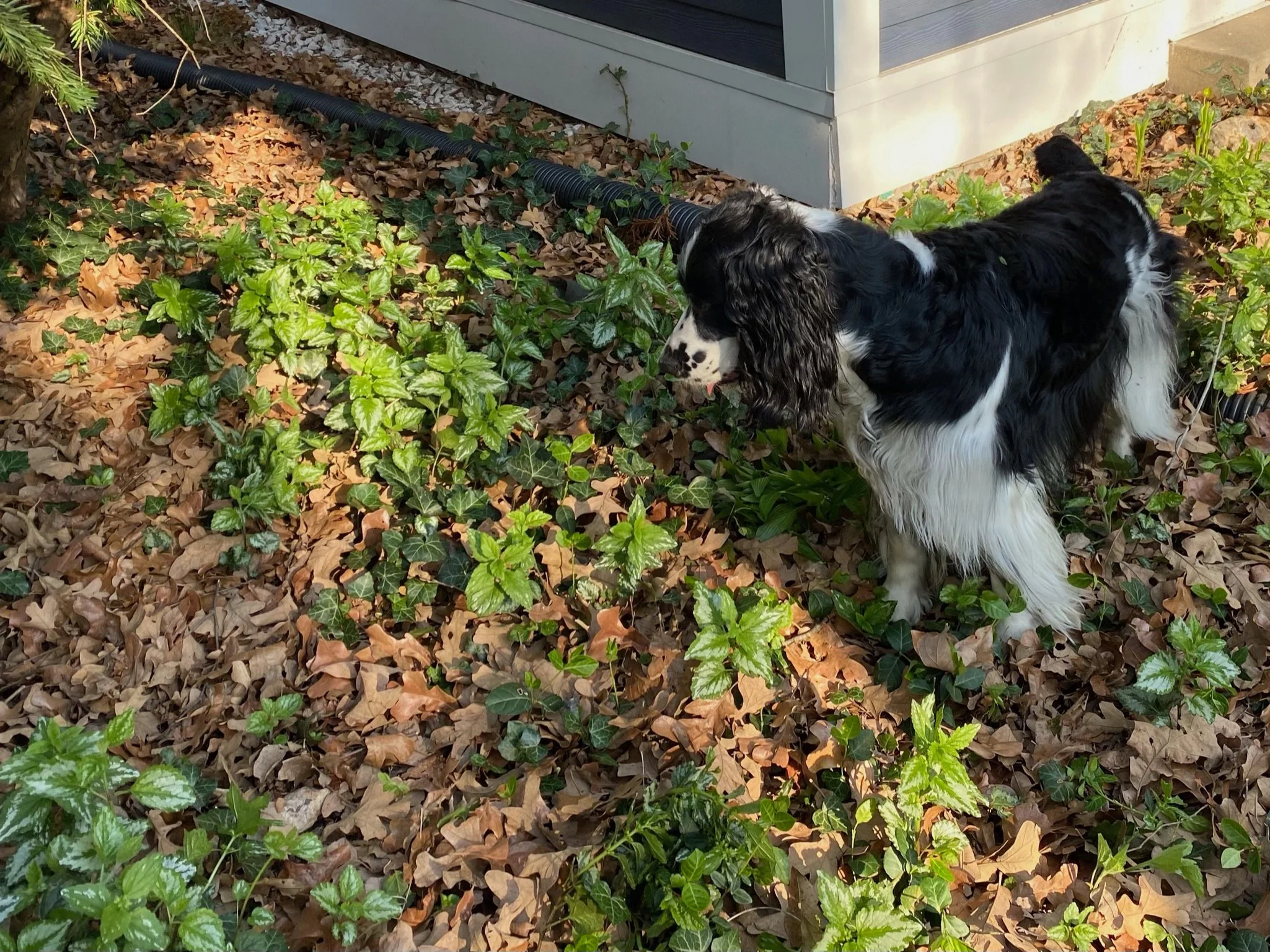 XMAS2021-1 - 29.jpeg