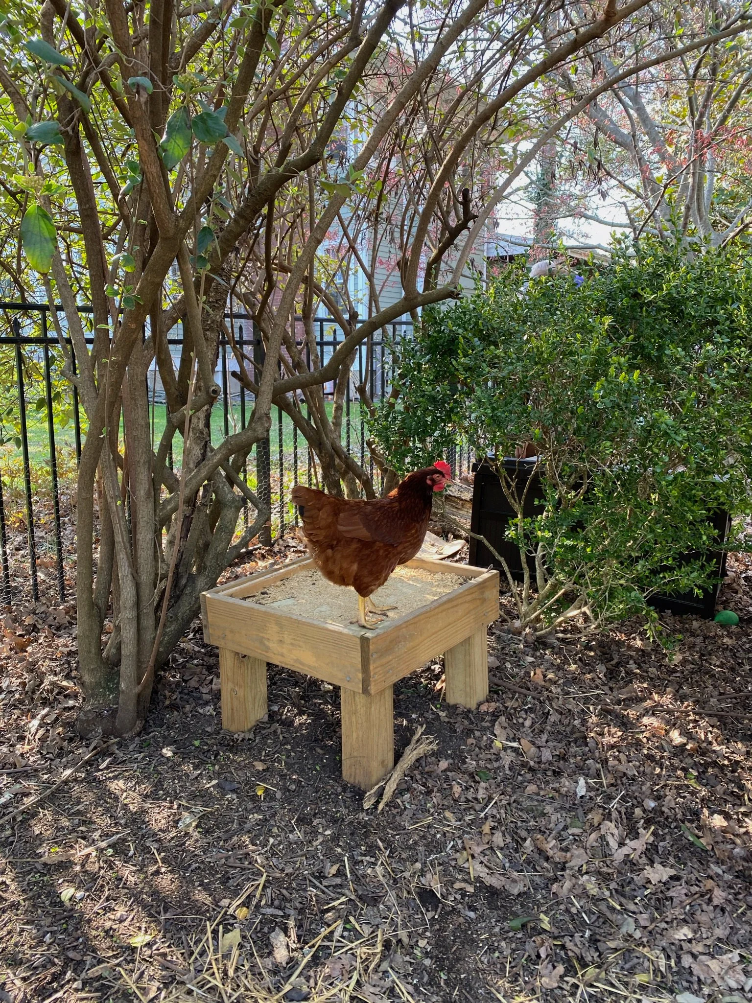 XMAS2021-1 - 30.jpeg