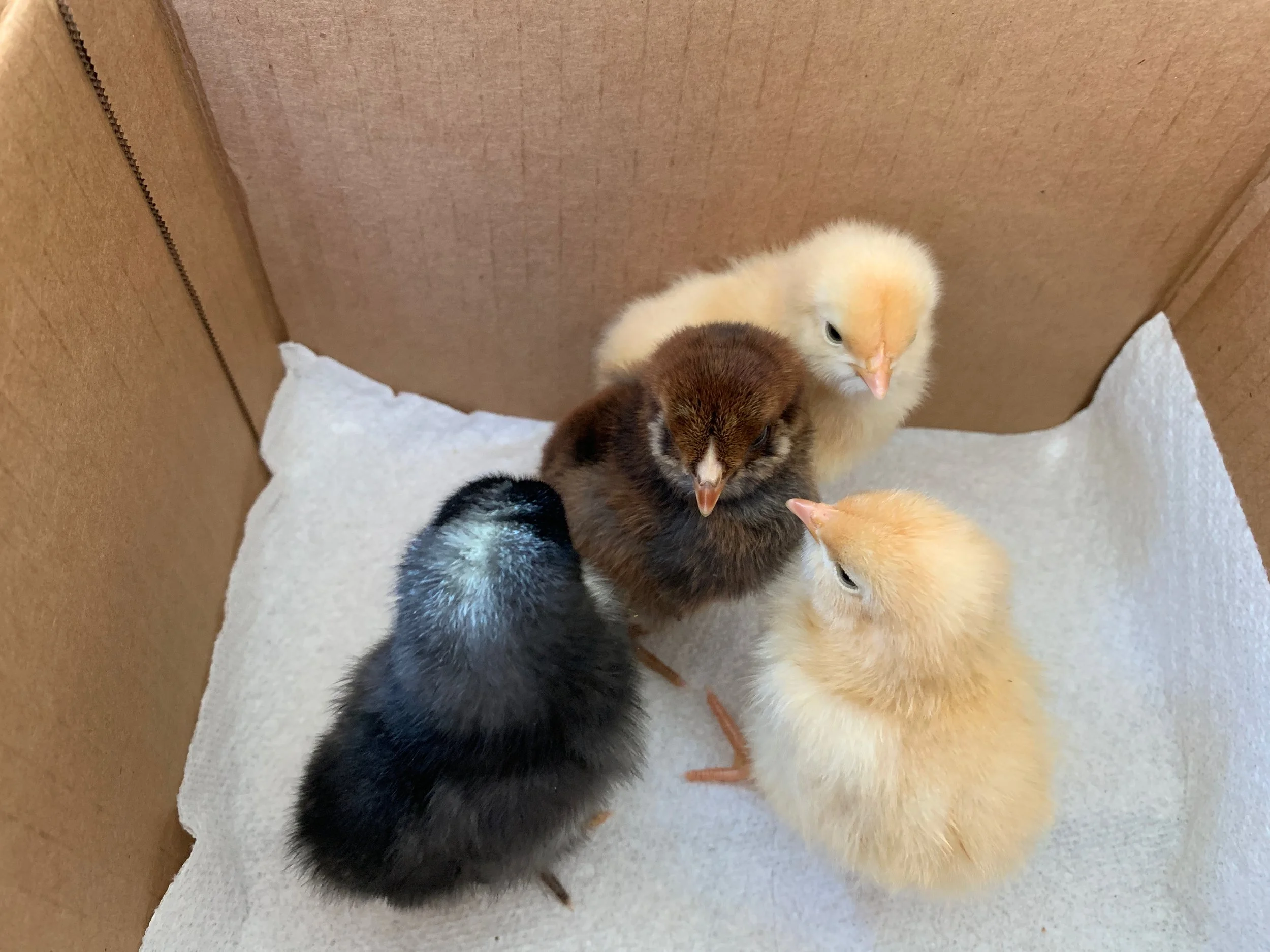 XMAS2021-1 - 45.jpeg