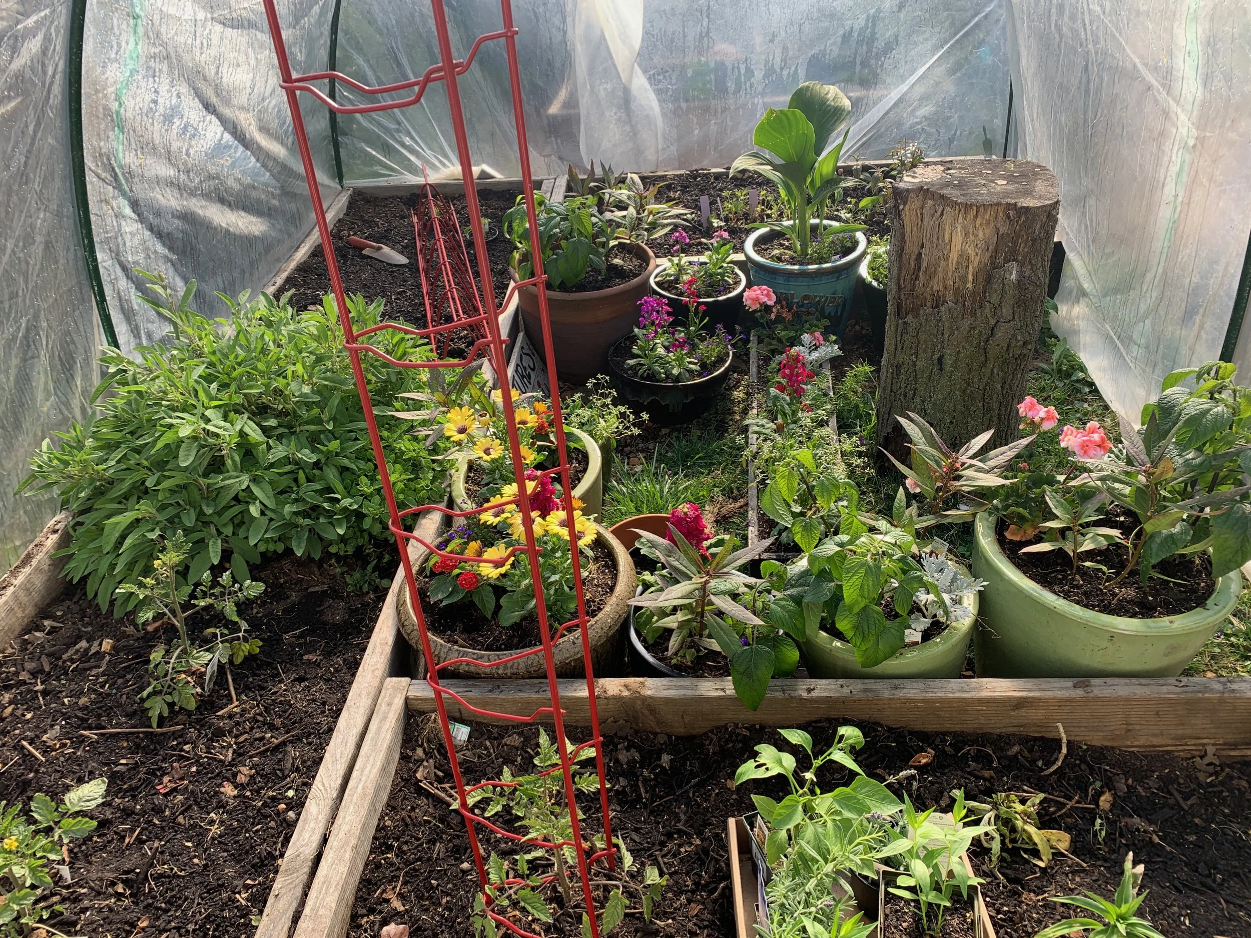 XMAS2021-1 - 48.jpeg