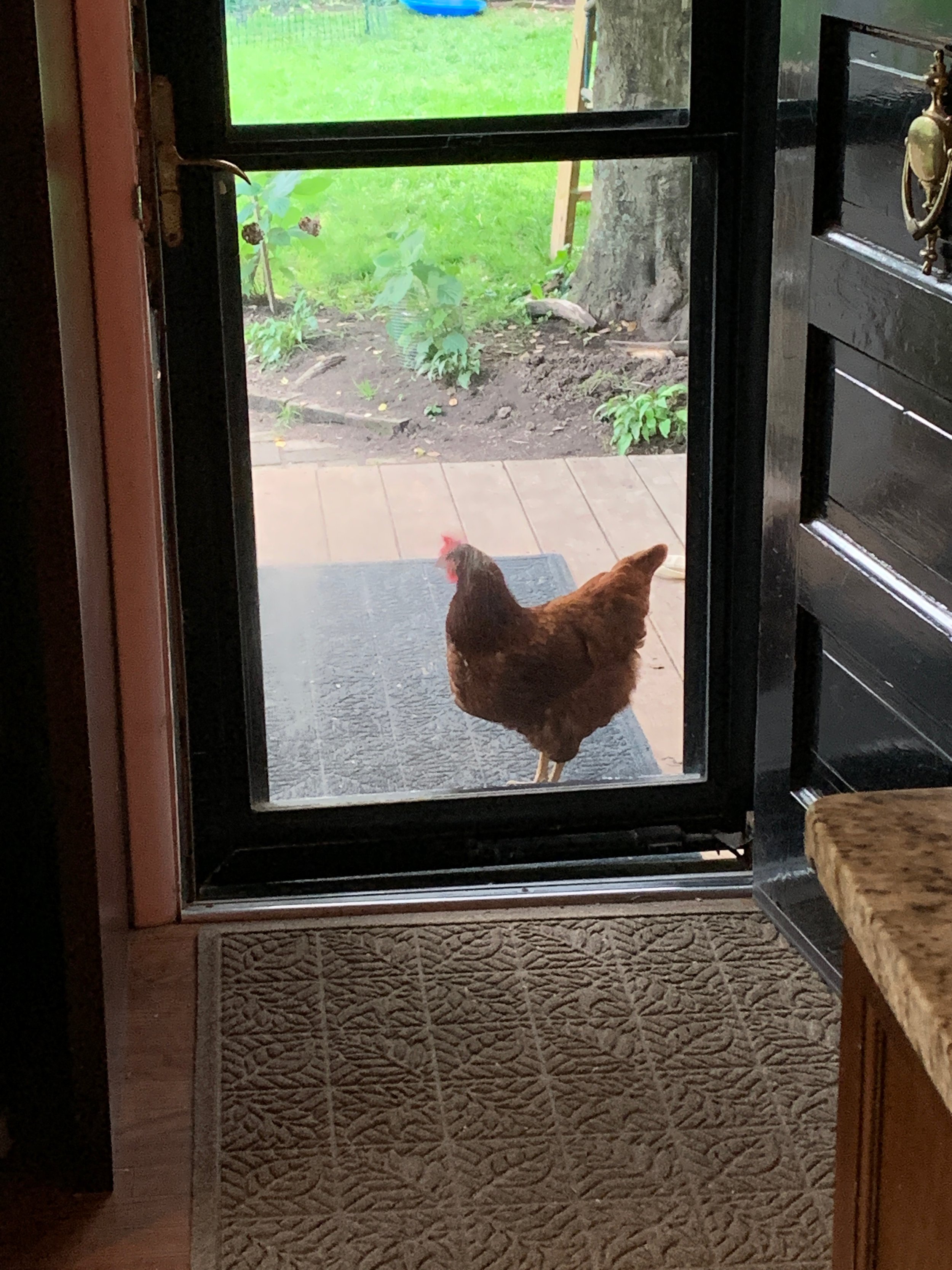 XMAS2021-1 - 74.jpeg