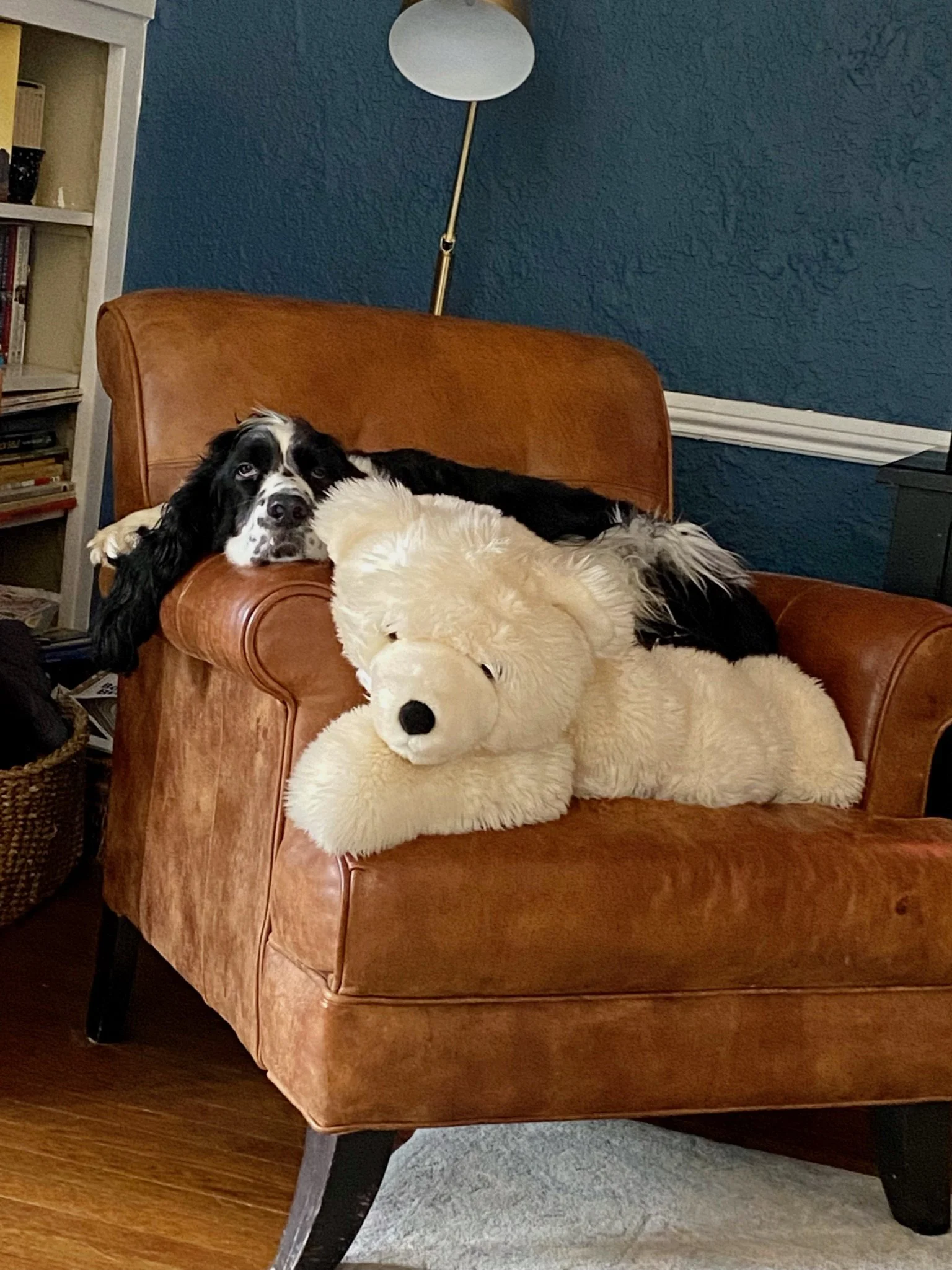 XMAS2021-1 - 123.jpeg