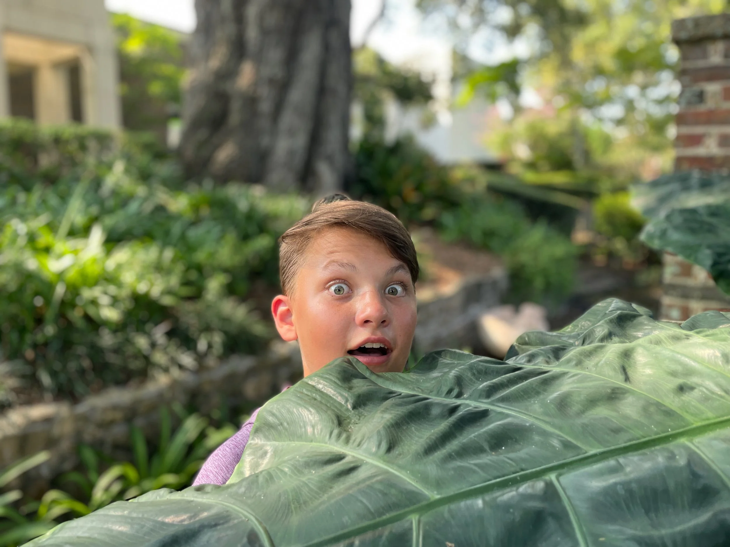 XMAS2021-1 - 160.jpeg