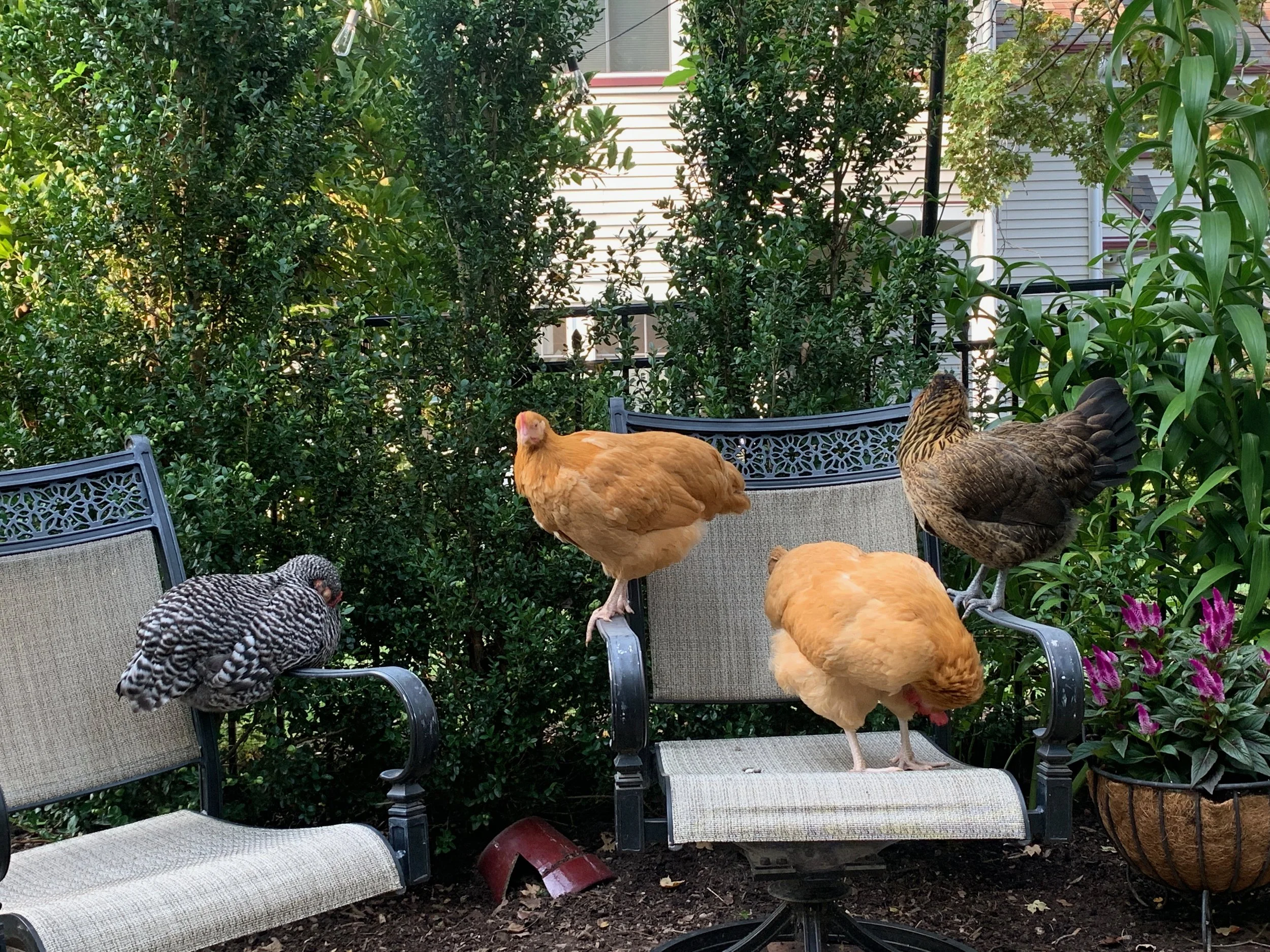 XMAS2021-1 - 170.jpeg