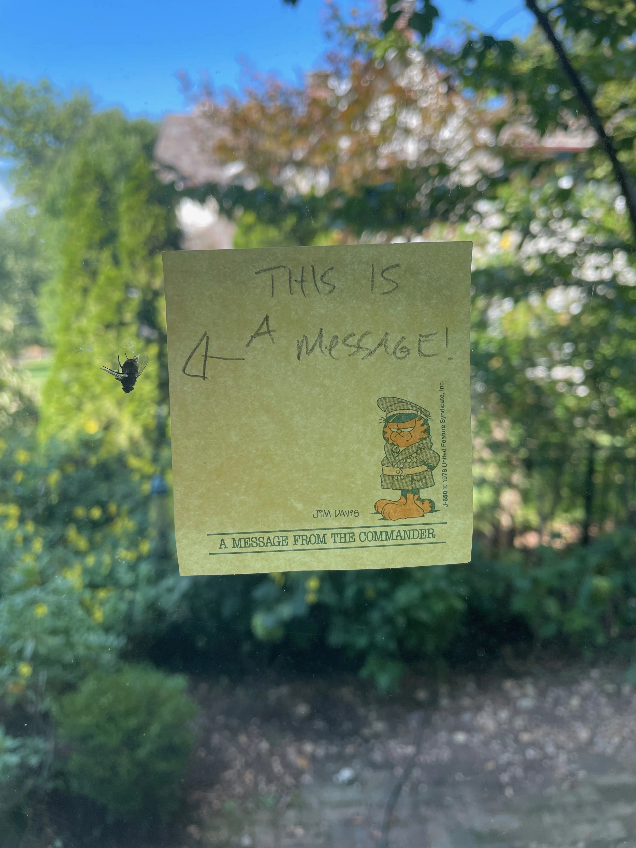 XMAS2021-1 - 172.jpeg