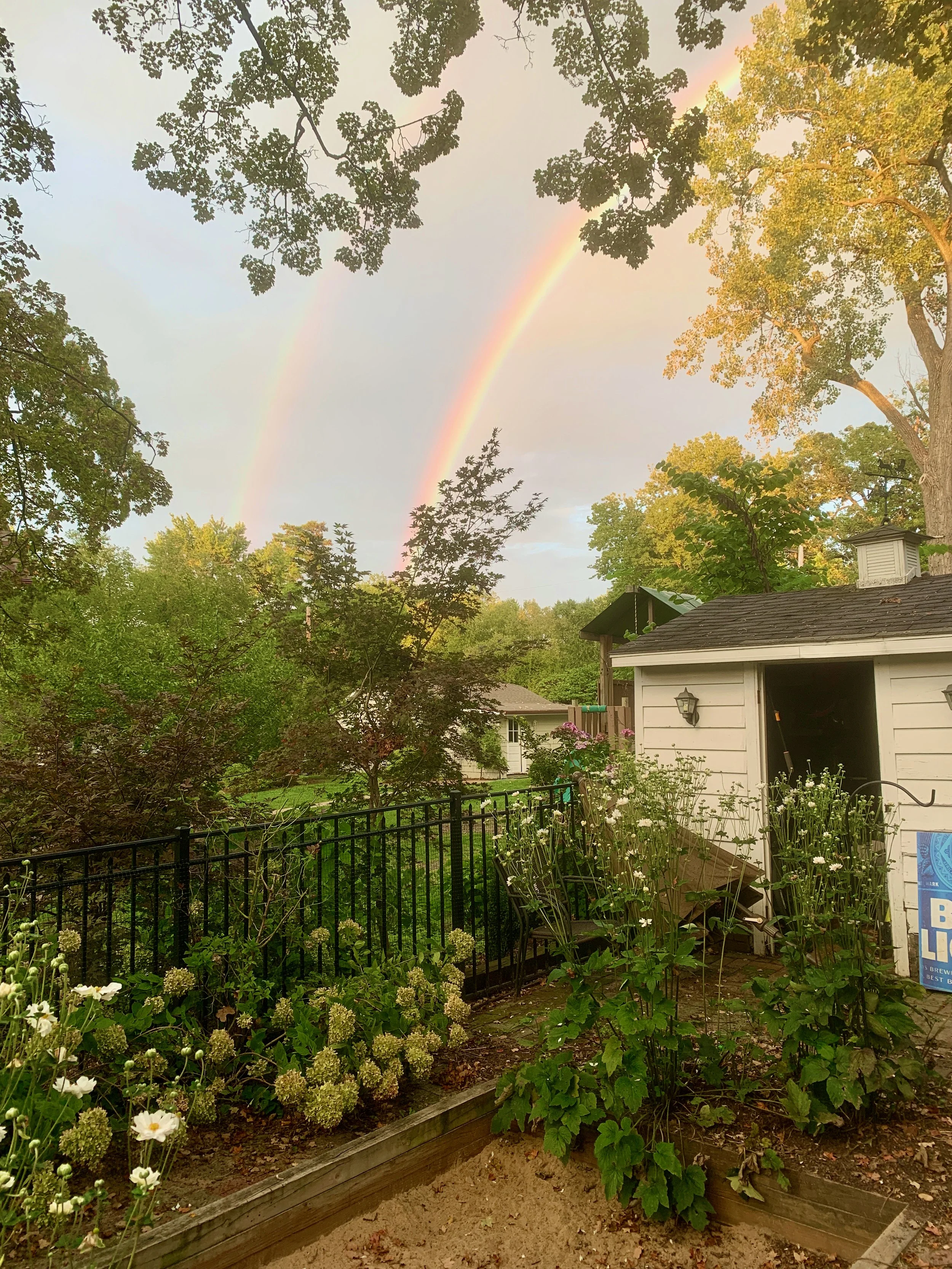 XMAS2021-1 - 173.jpeg