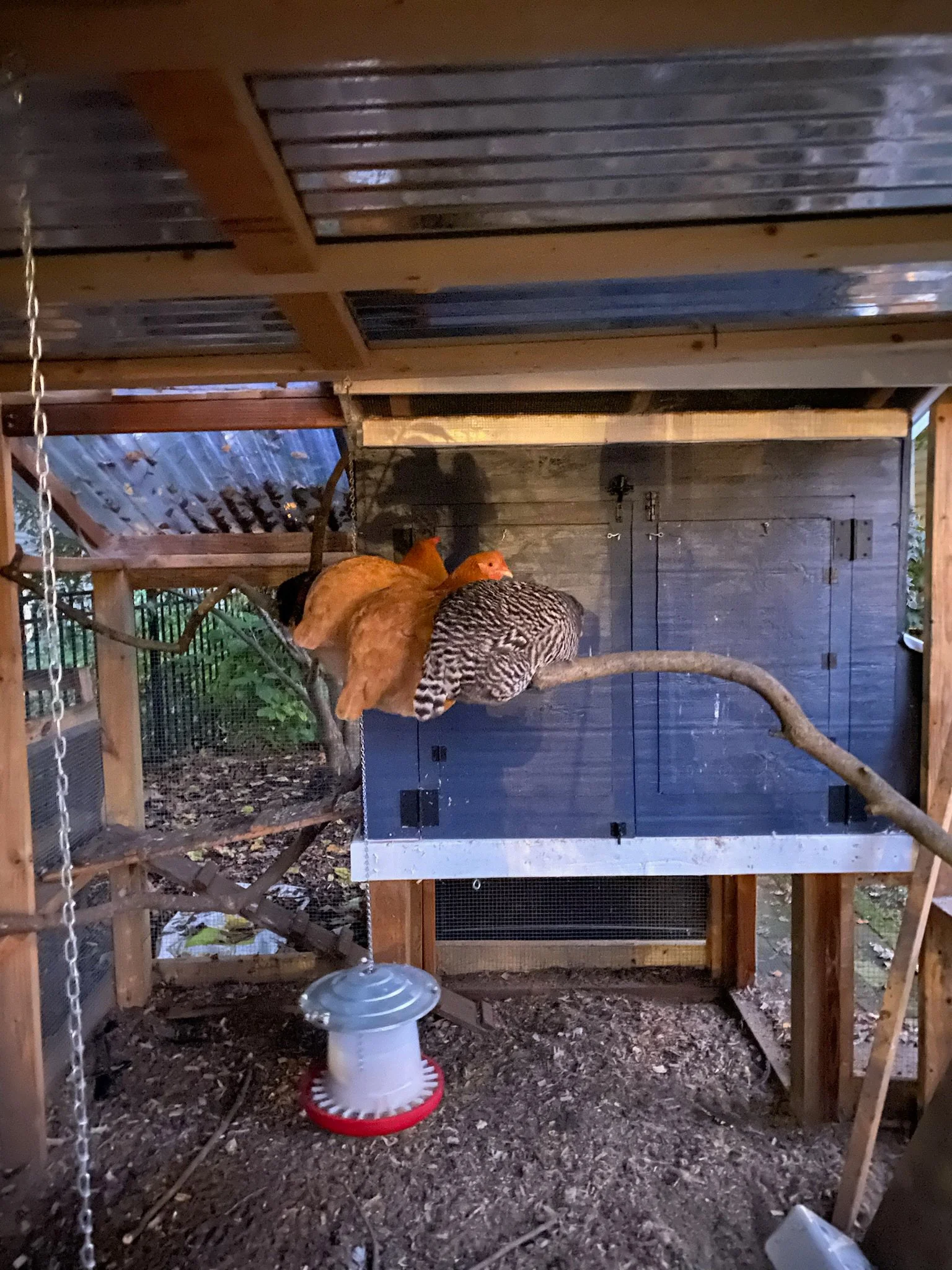 XMAS2021-1 - 195.jpeg