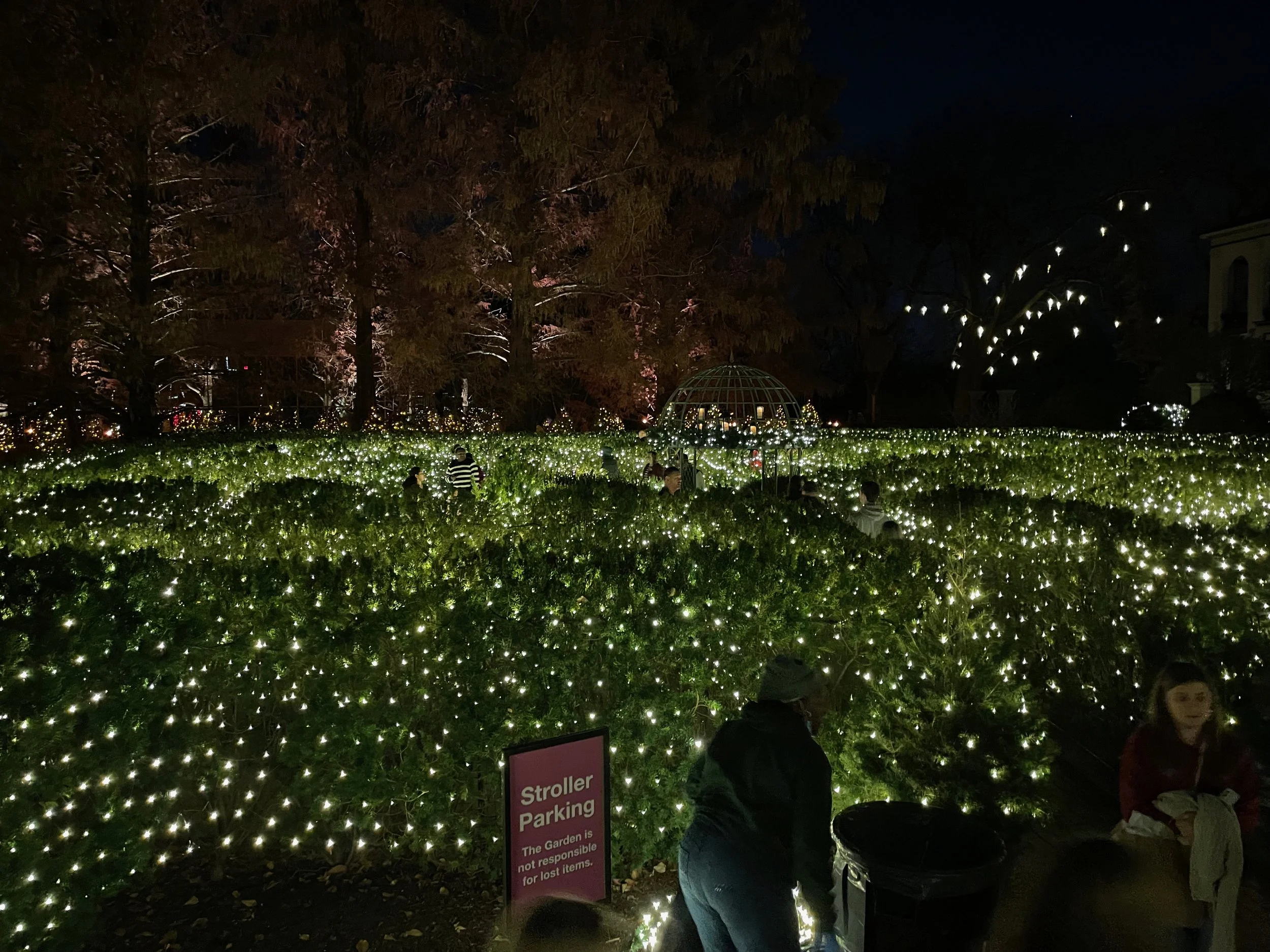 Xmas2021-3 - 15.jpeg