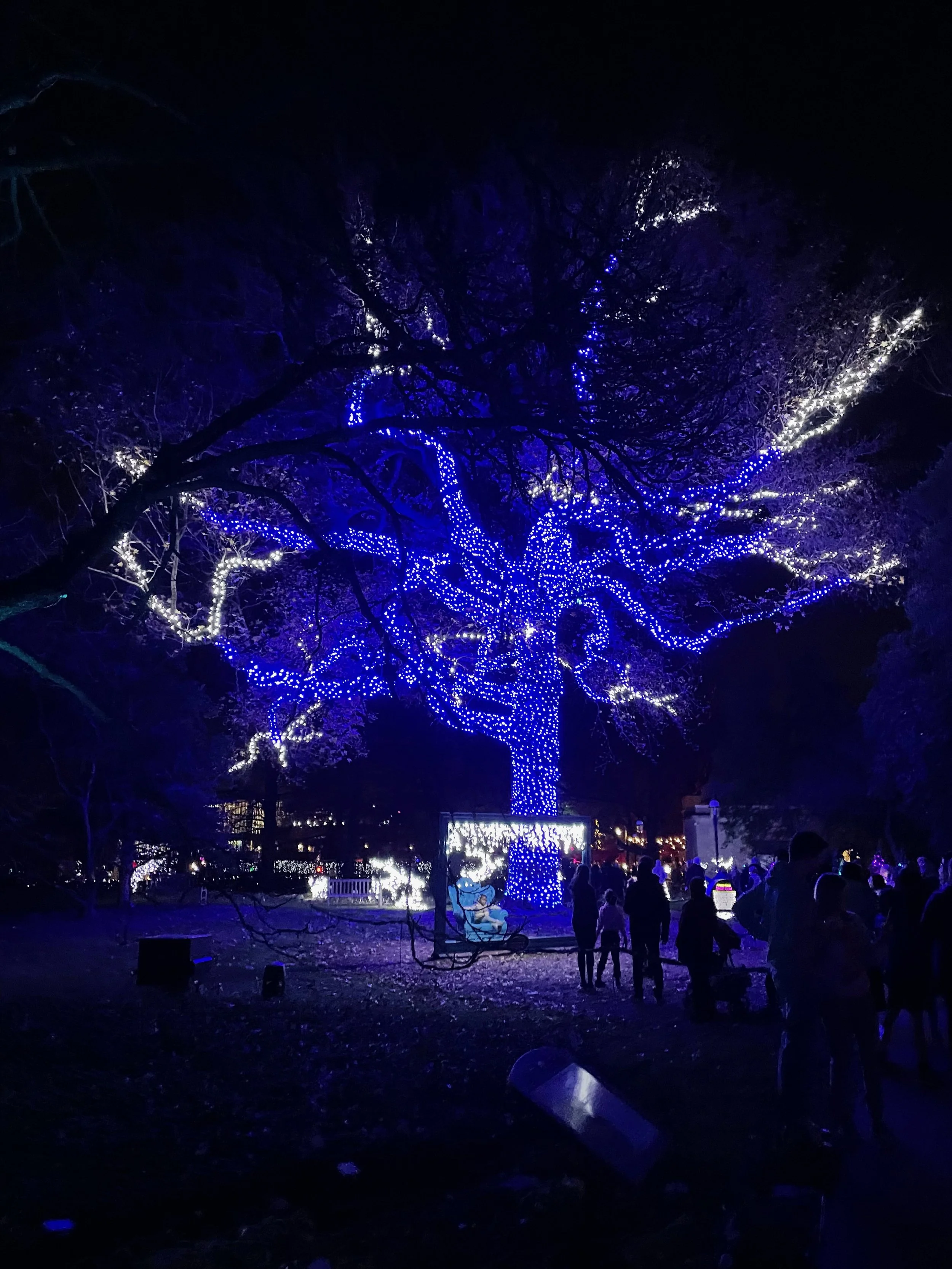 Xmas2021-3 - 16.jpeg