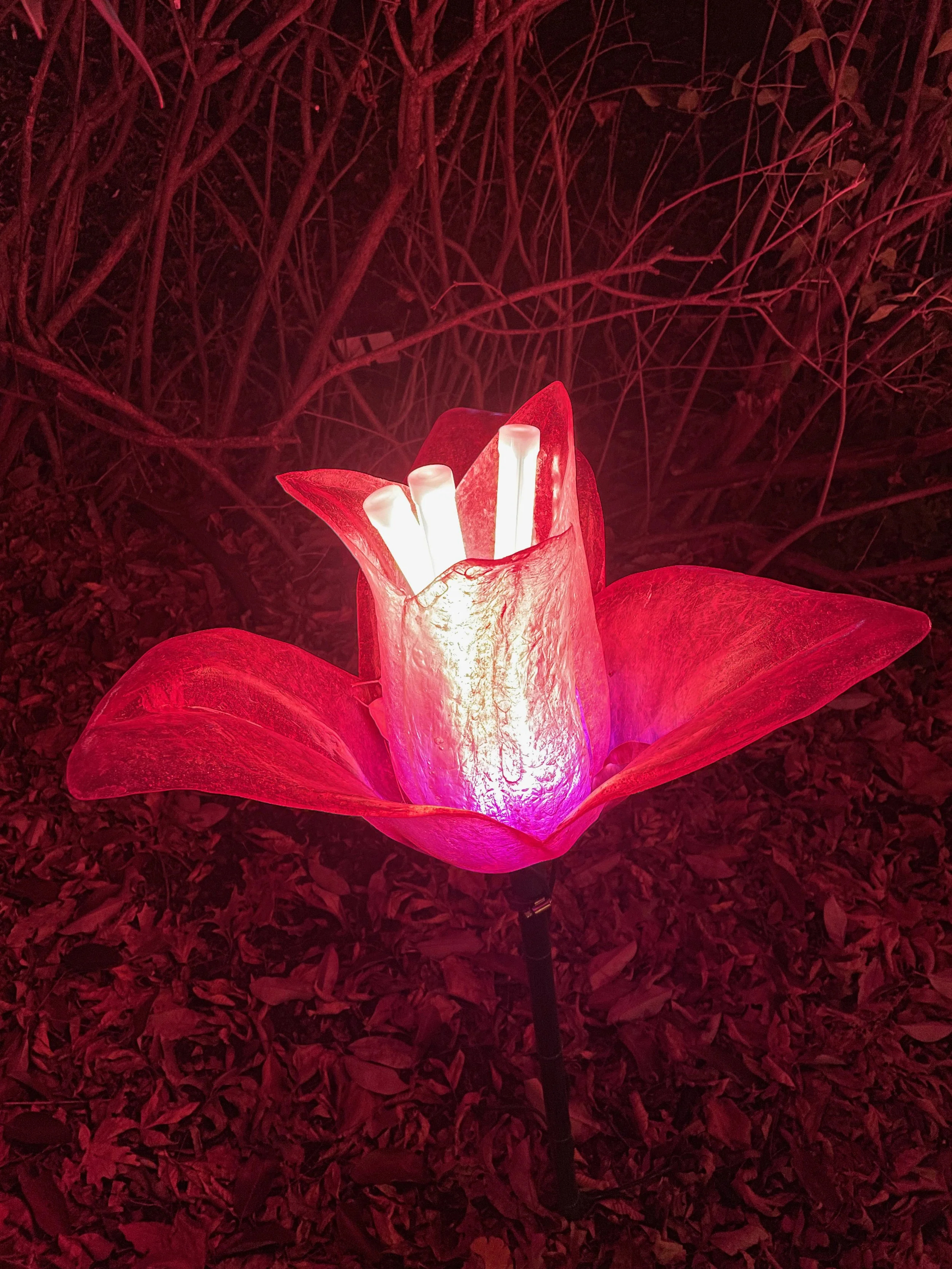 Xmas2021-3 - 18.jpeg