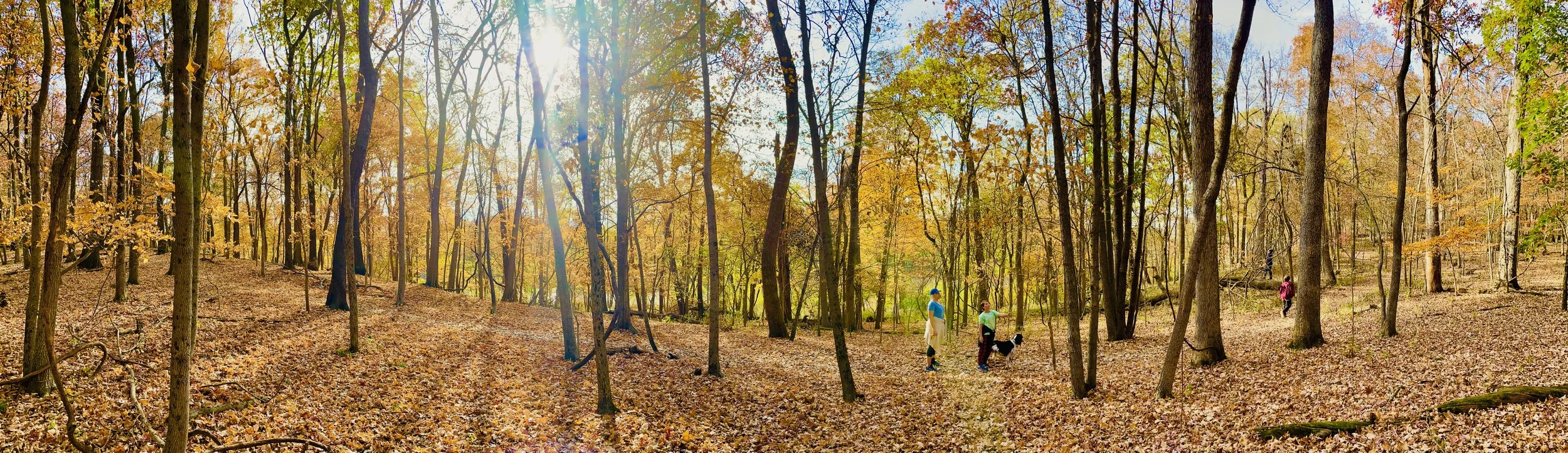 Xmas2022Pano - 2.jpeg