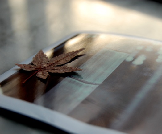 leaf3.jpeg
