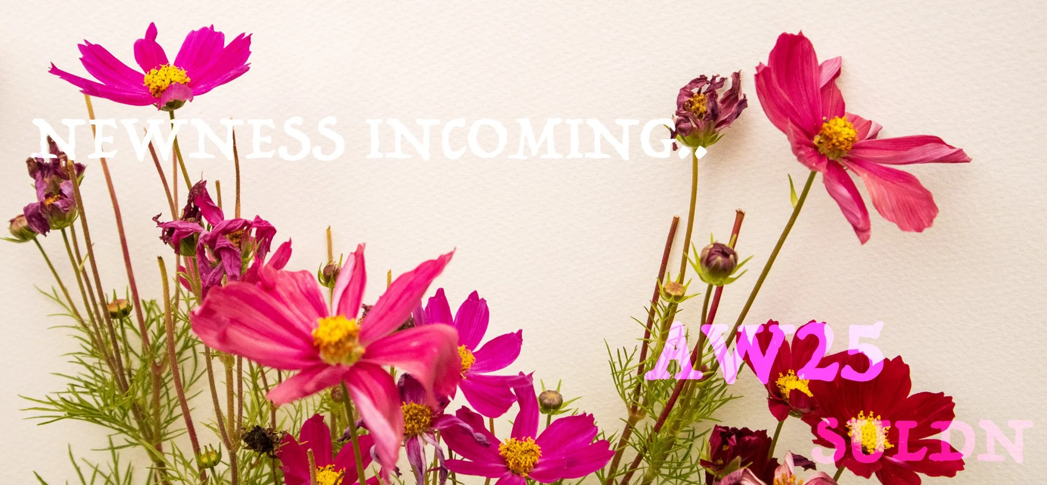 NEWNESS INCOMING .jpg