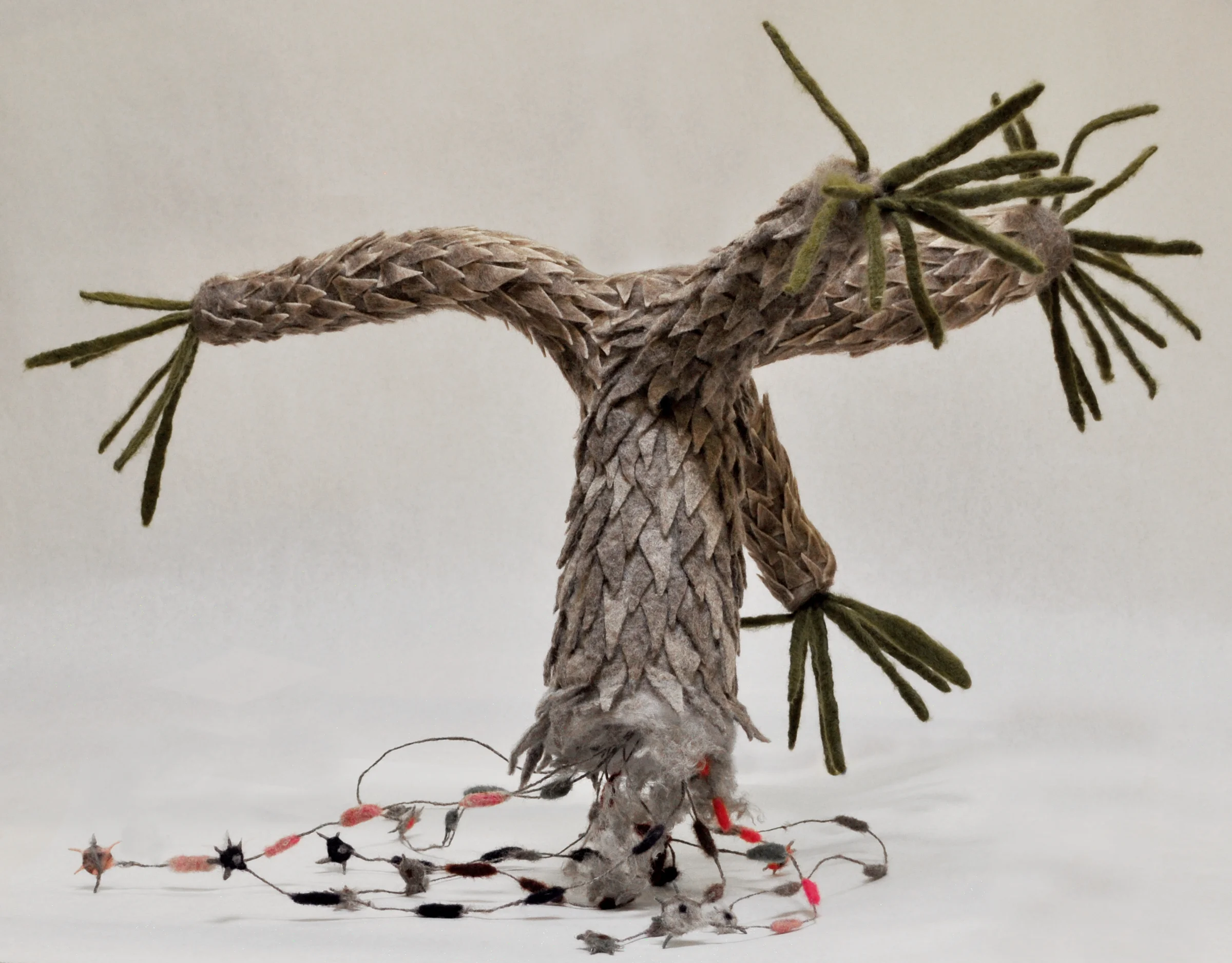 Eli_Joshua_tree.jpg