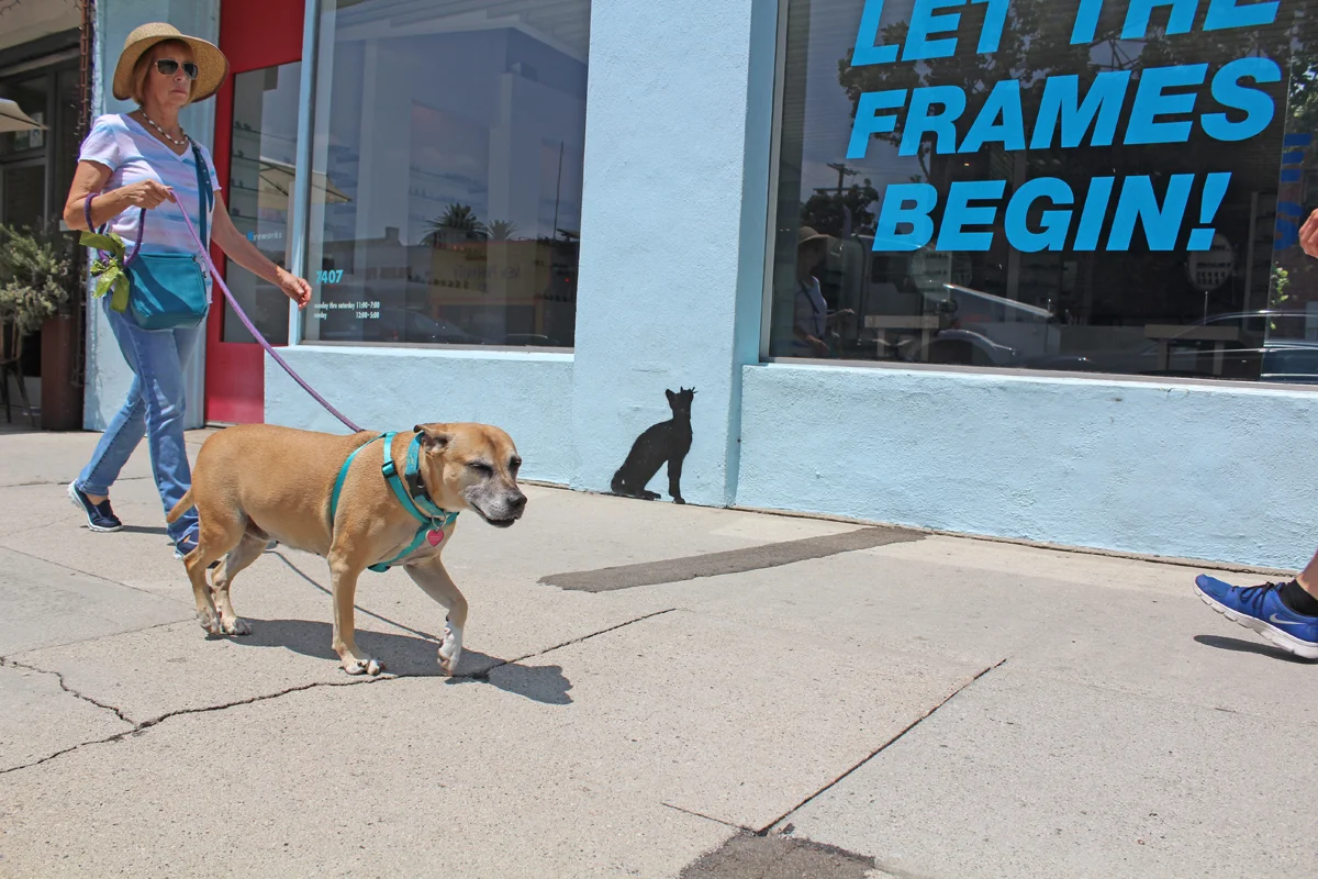 Alfred J P Contreras - Cat and Dog.jpg