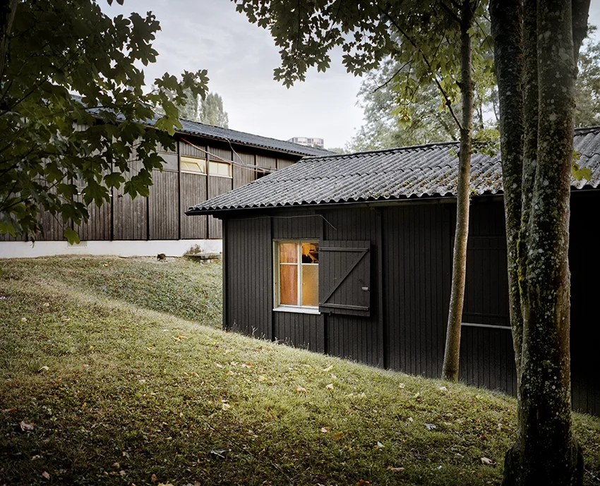 de la série "Bois des frères", 2015